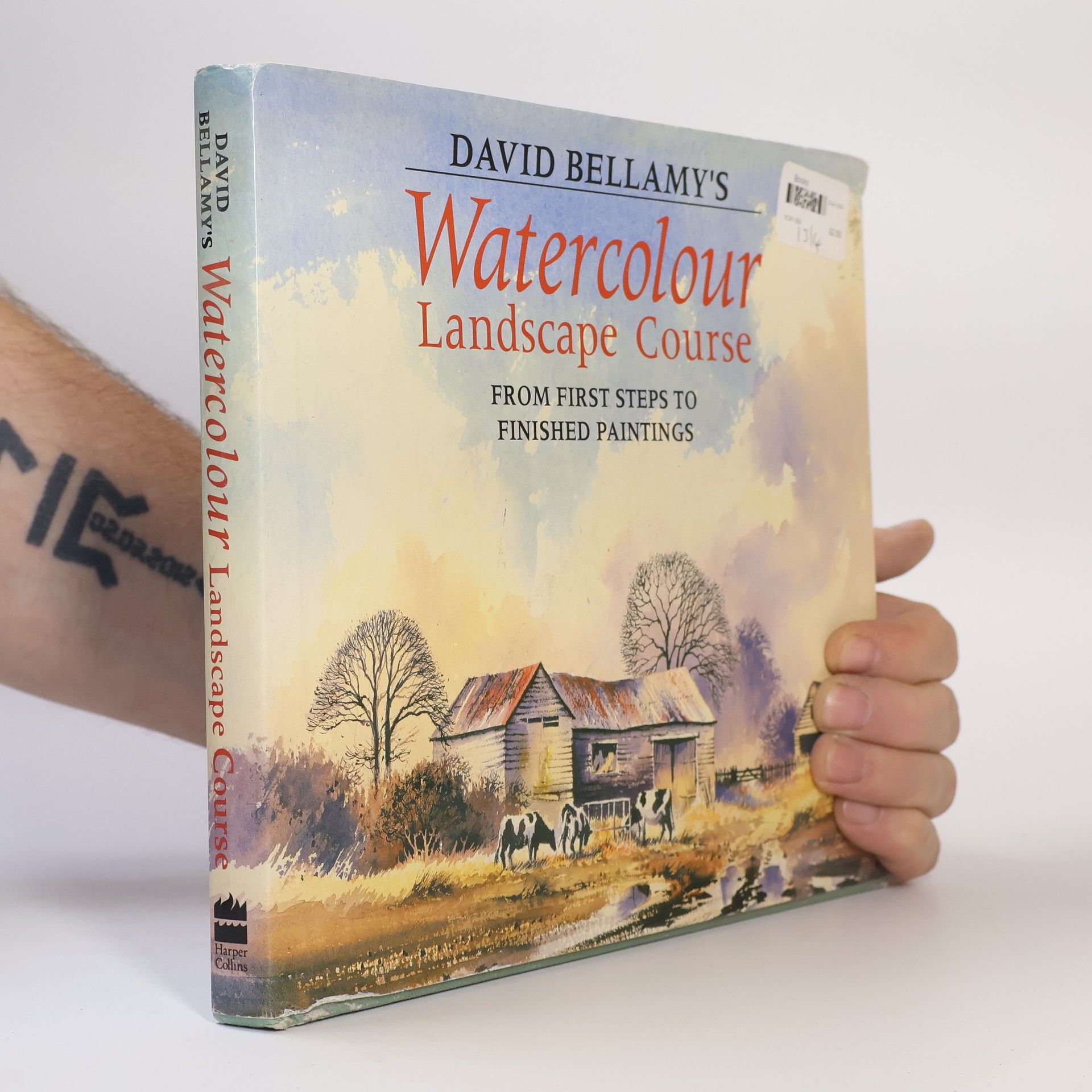 David Bellamy's Watercolour Landscape Course