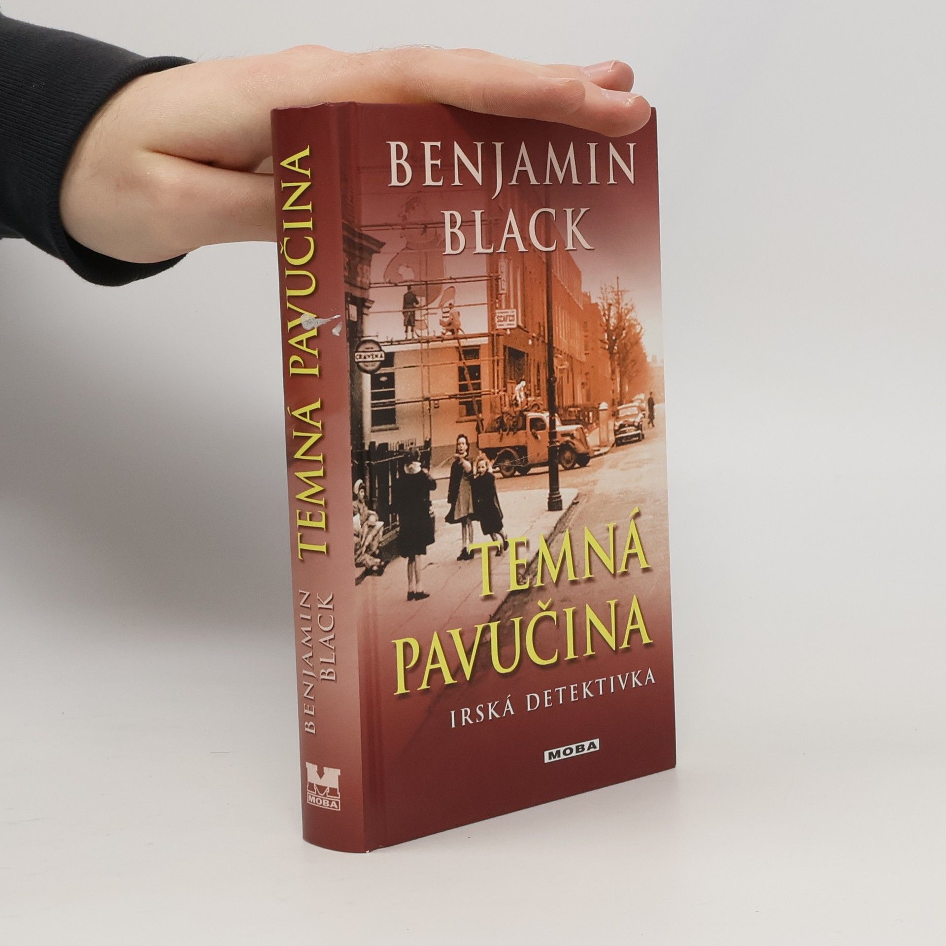 John Banville Temná pavučina