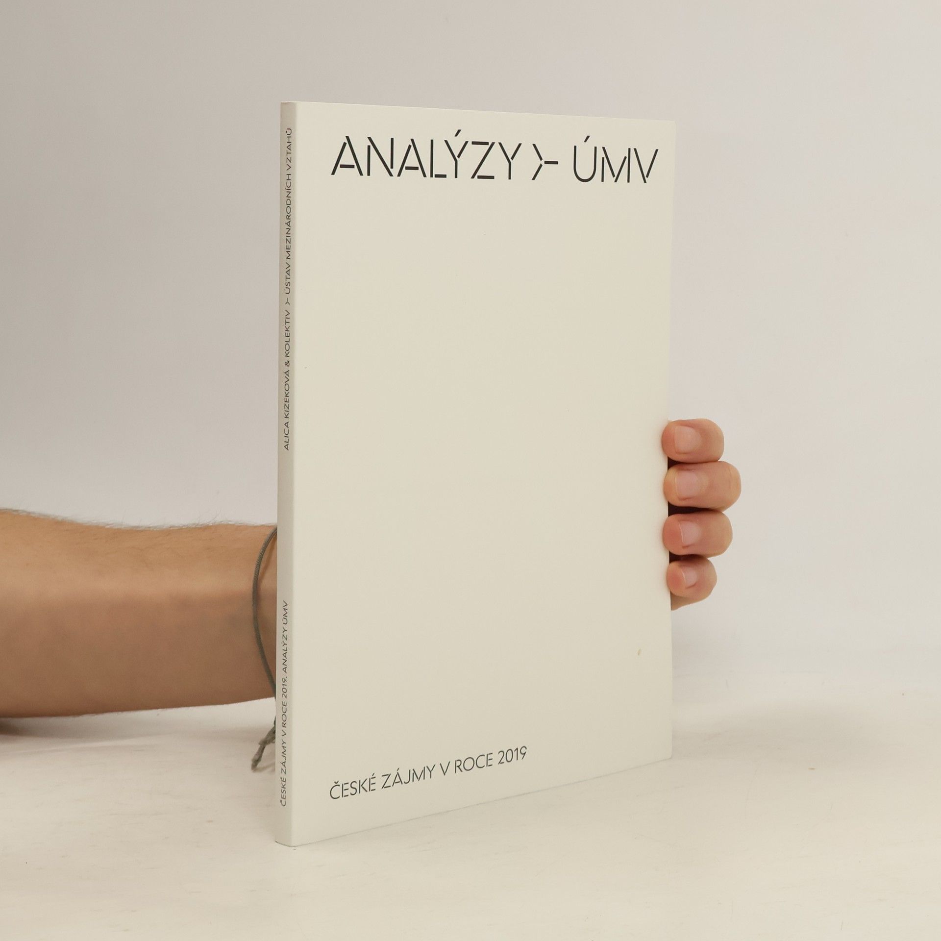Alica Kizeková České zájmy v roce 2019