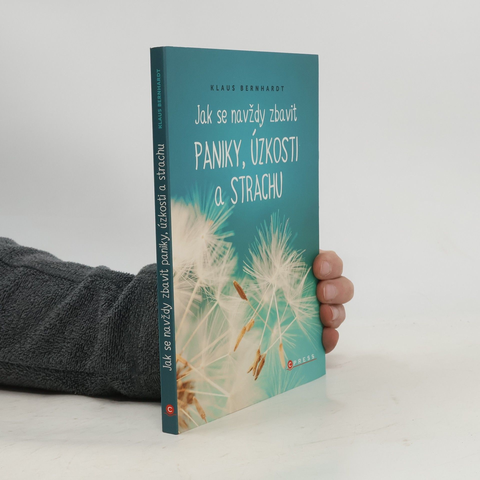 Klaus Bernhardt Jak se navždy zbavit paniky, úzkosti a strachu