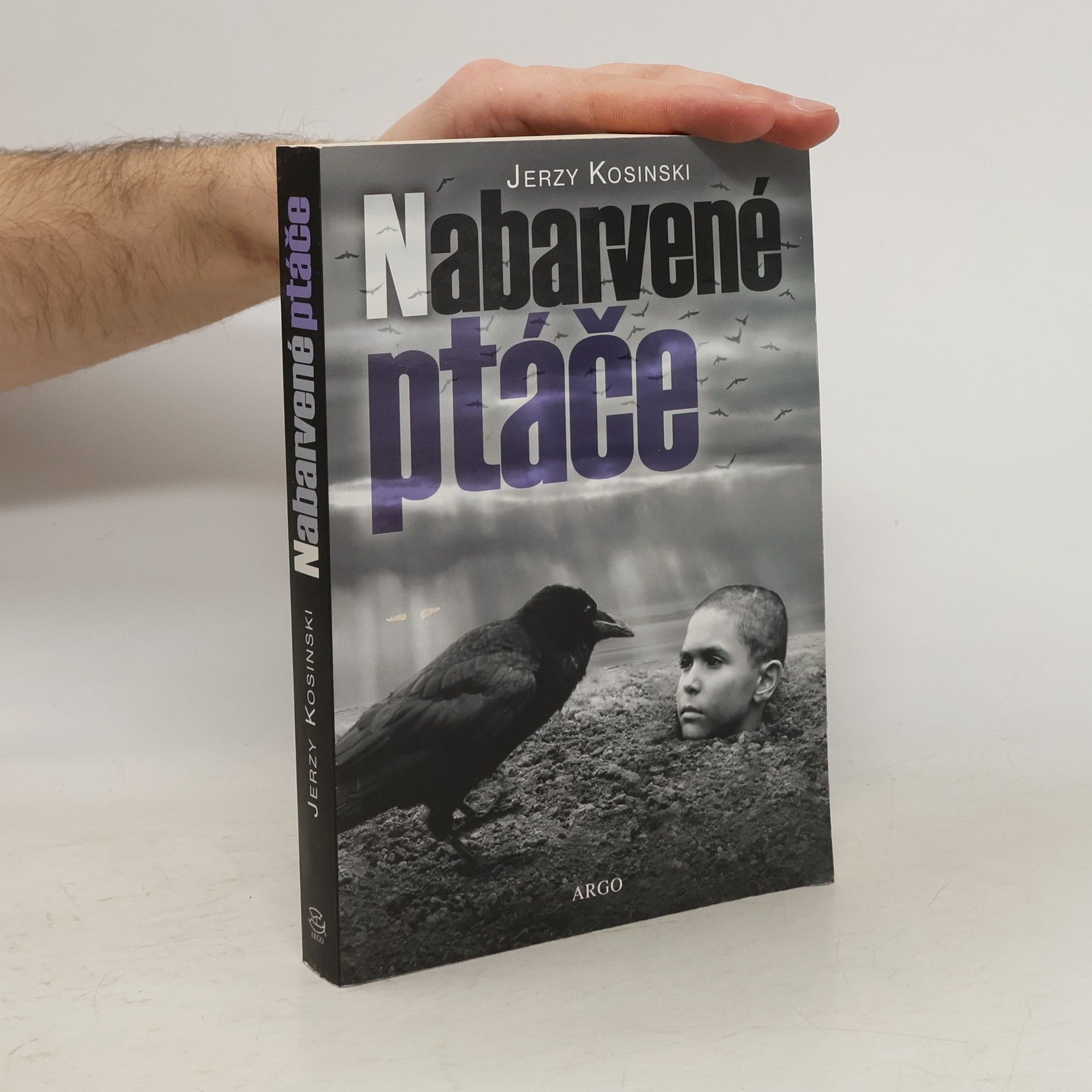 Jerzy Kosiński Nabarvené ptáče