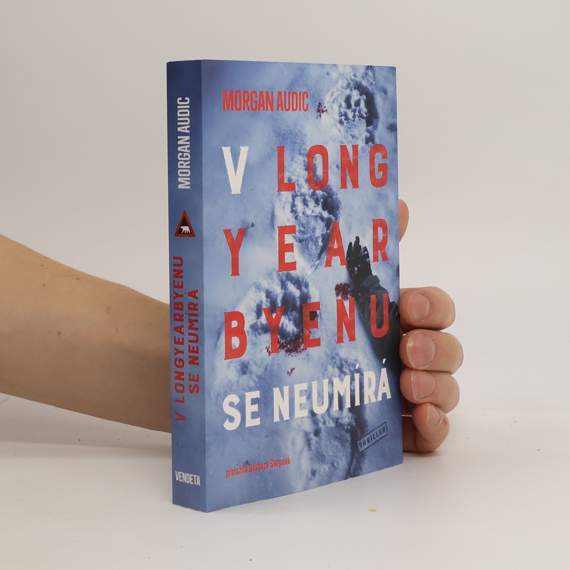 V Longyearbyenu se neumírá