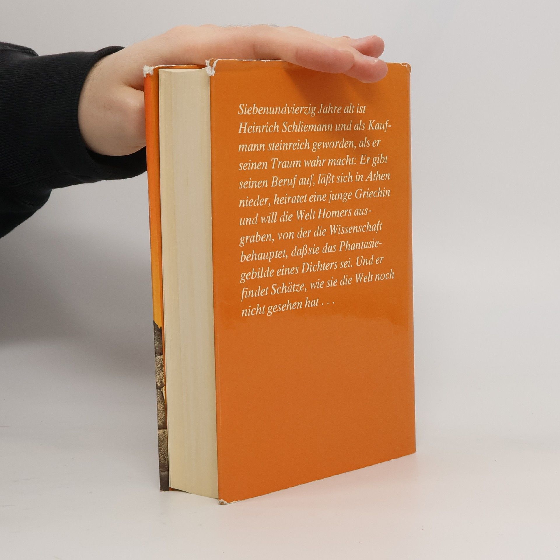 Irving Stone Der griechische Schatz