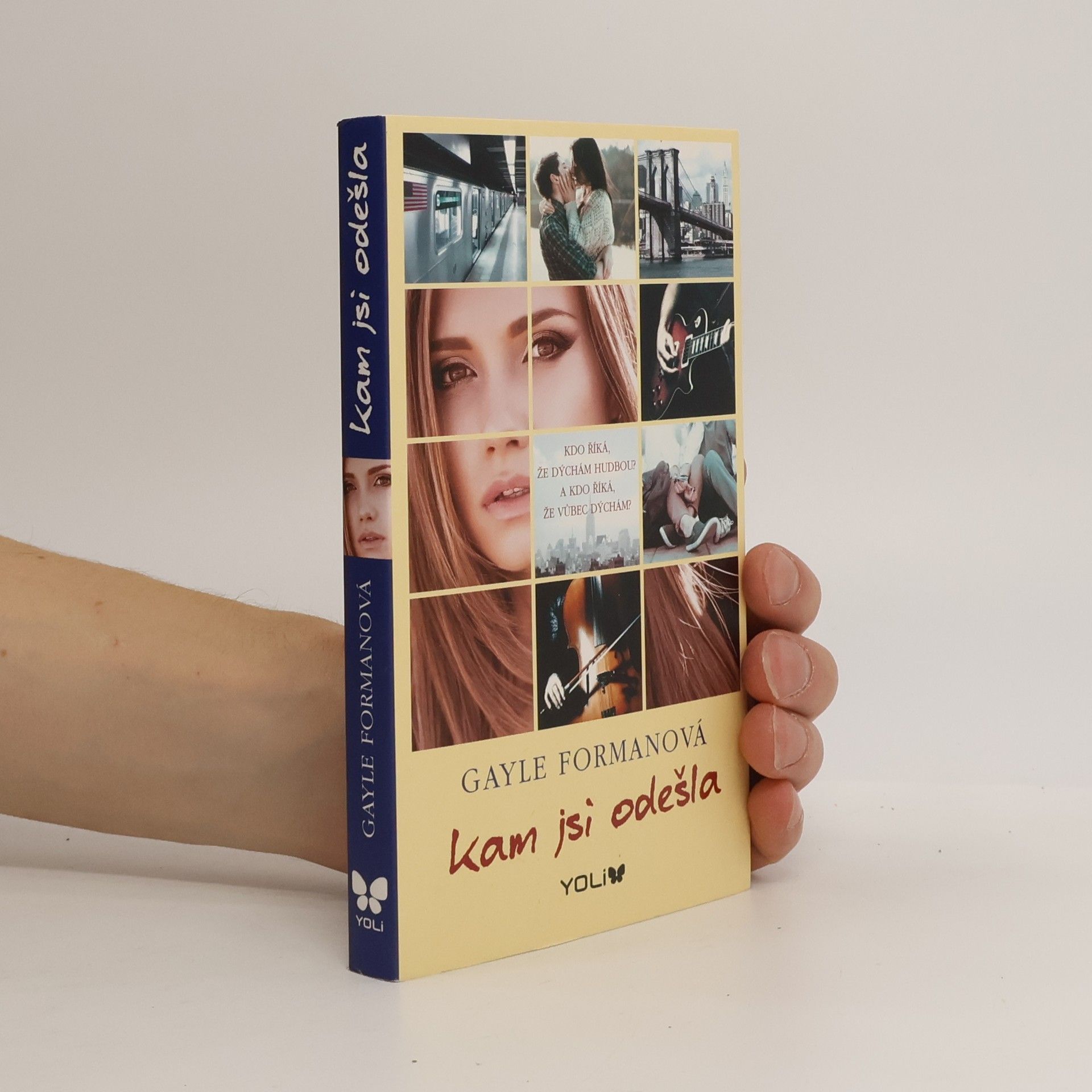 Gayle Forman Kam jsi odešla