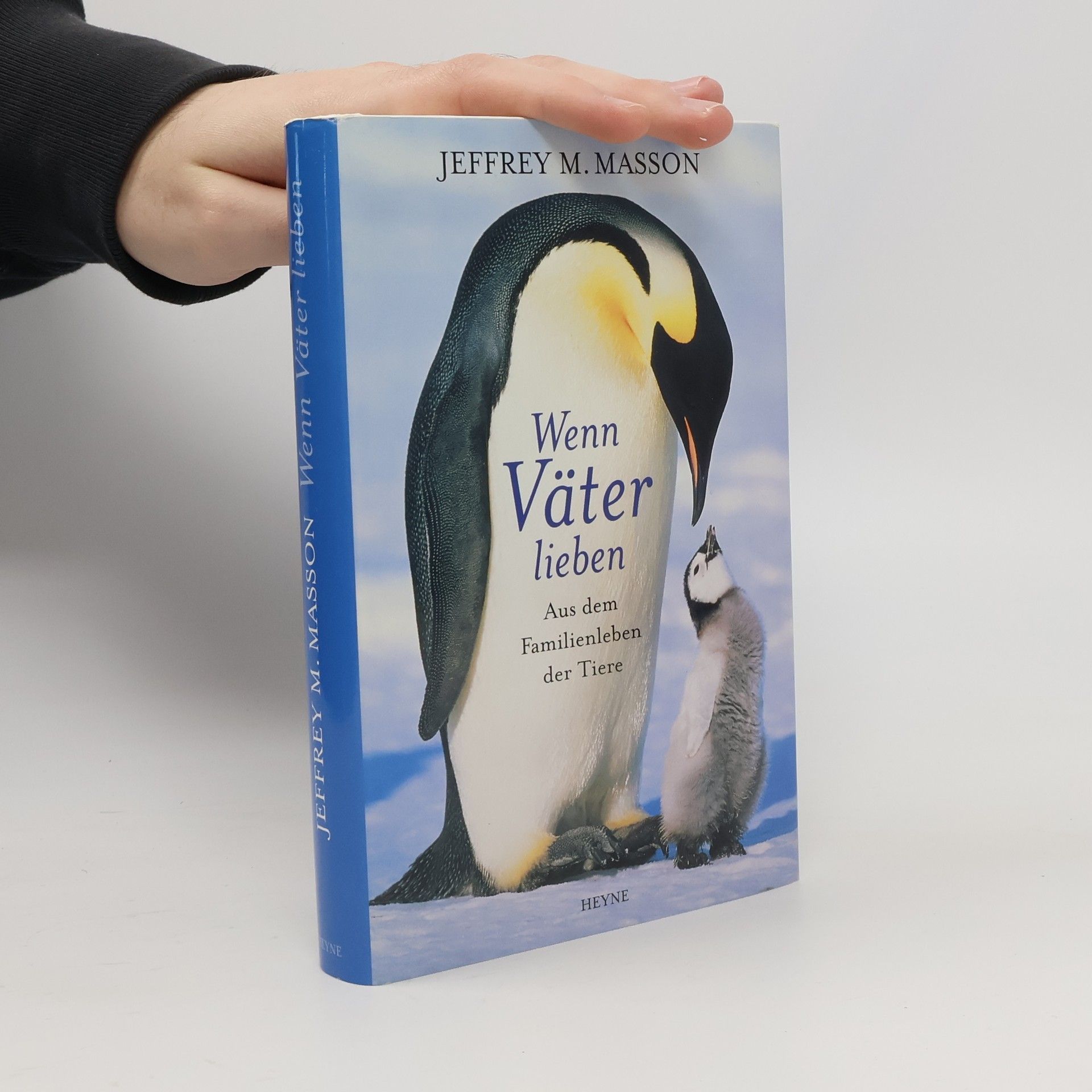 Jeffrey Moussaieff Masson Wenn Väter lieben