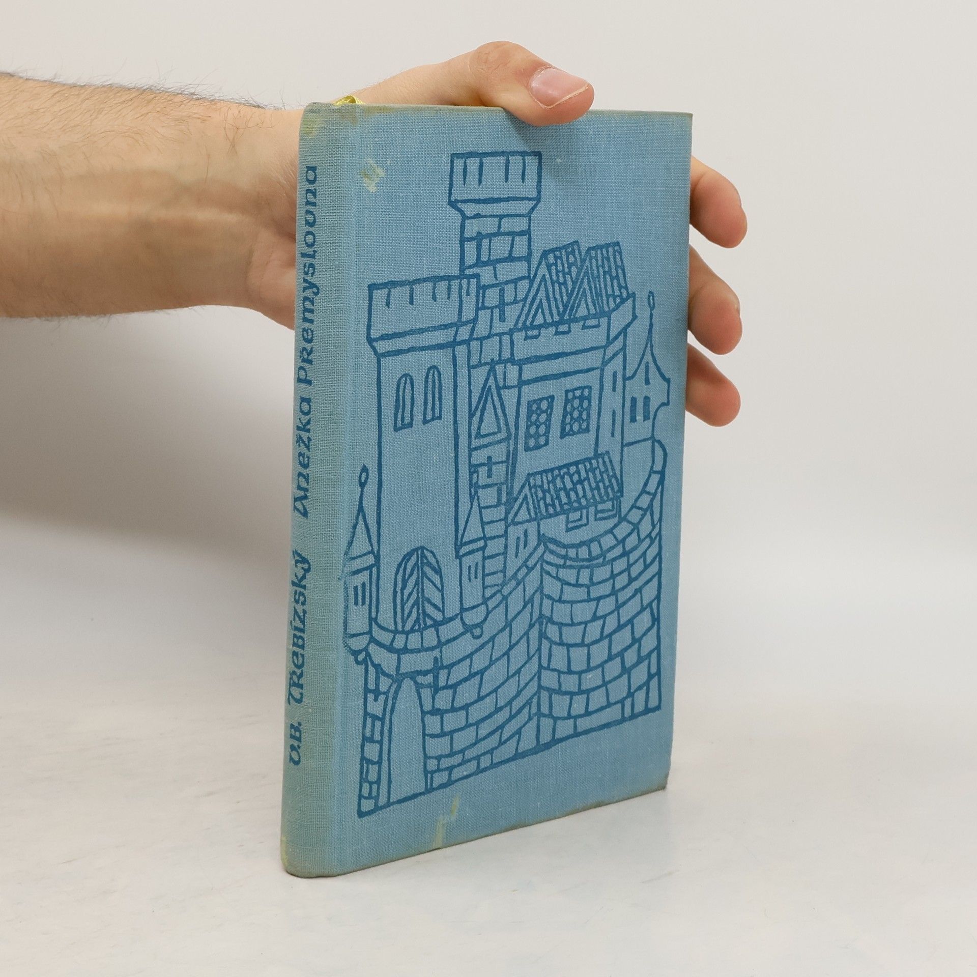 Václav Beneš Třebízský Anežka Přemyslovna