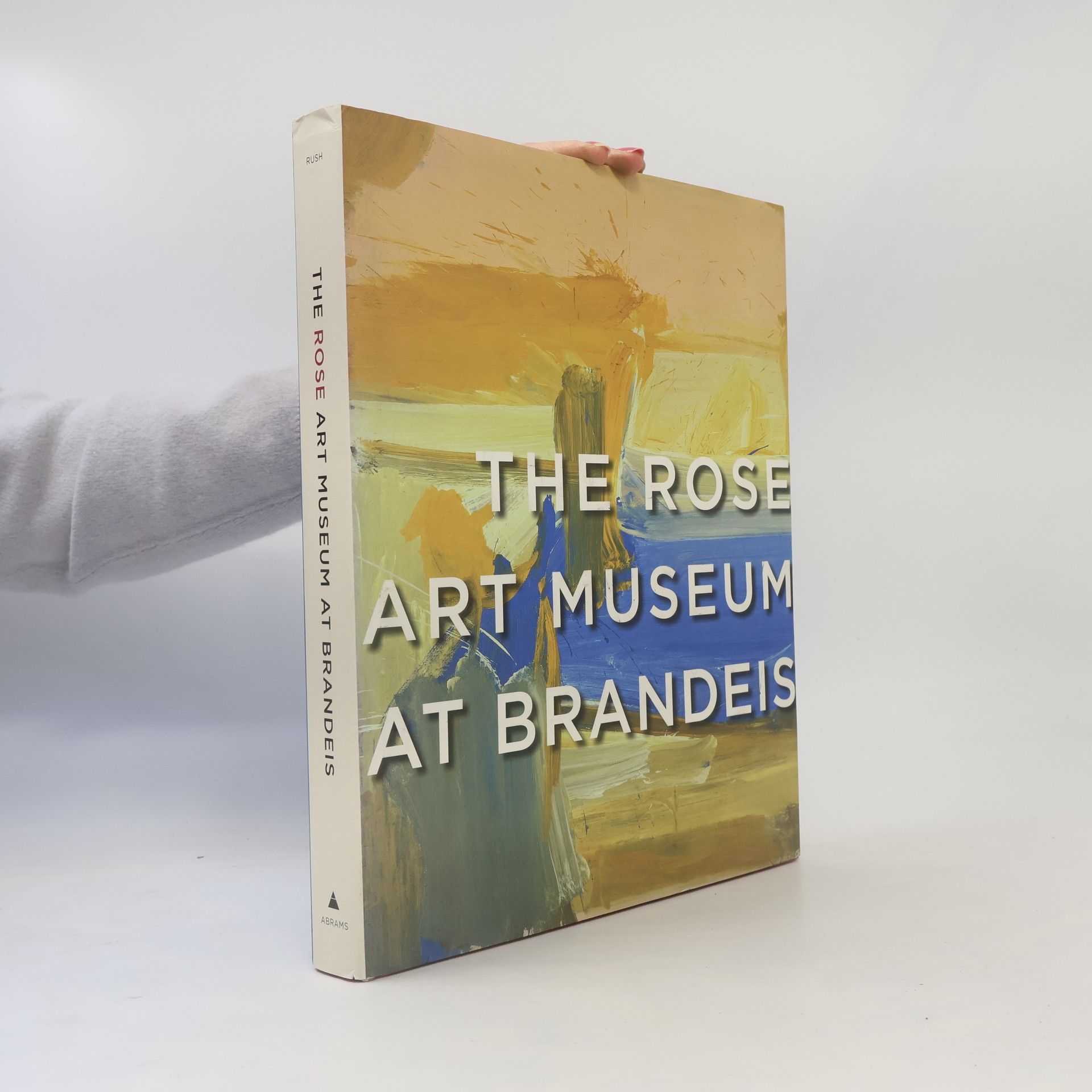 David Anfam The Rose Art Museum at Brandeis