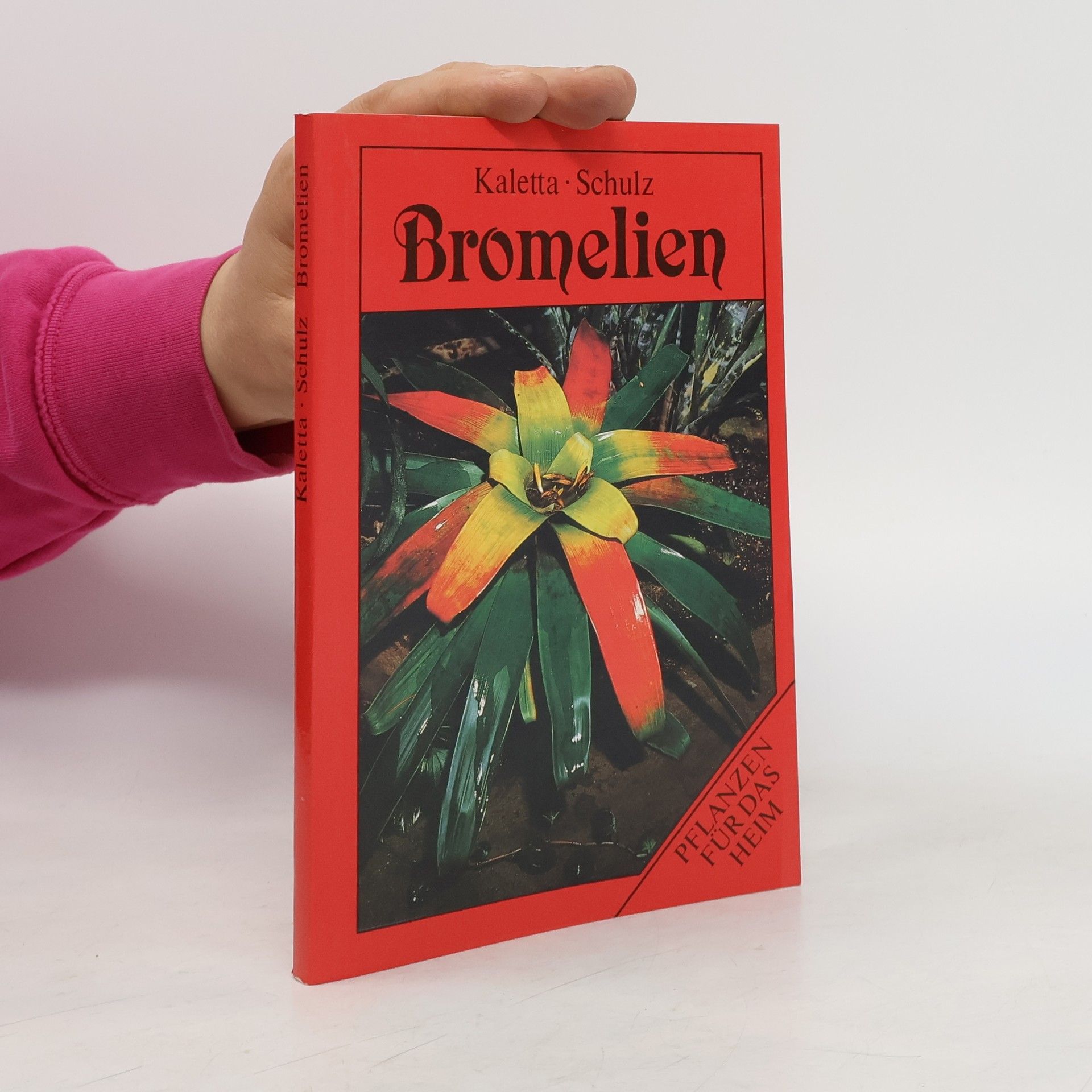 Bromelien