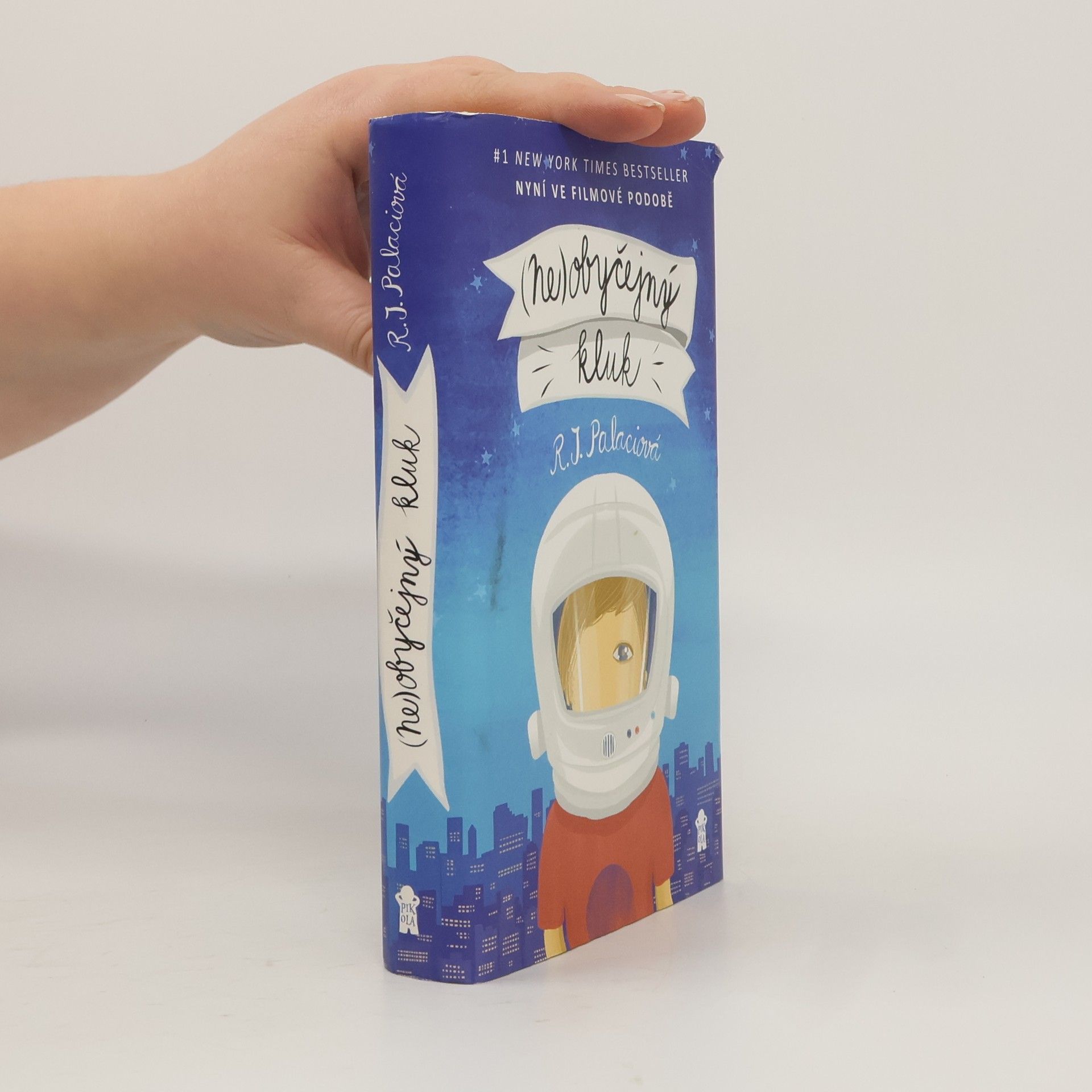 Raquel J. Palacio (Ne)obyčejný kluk