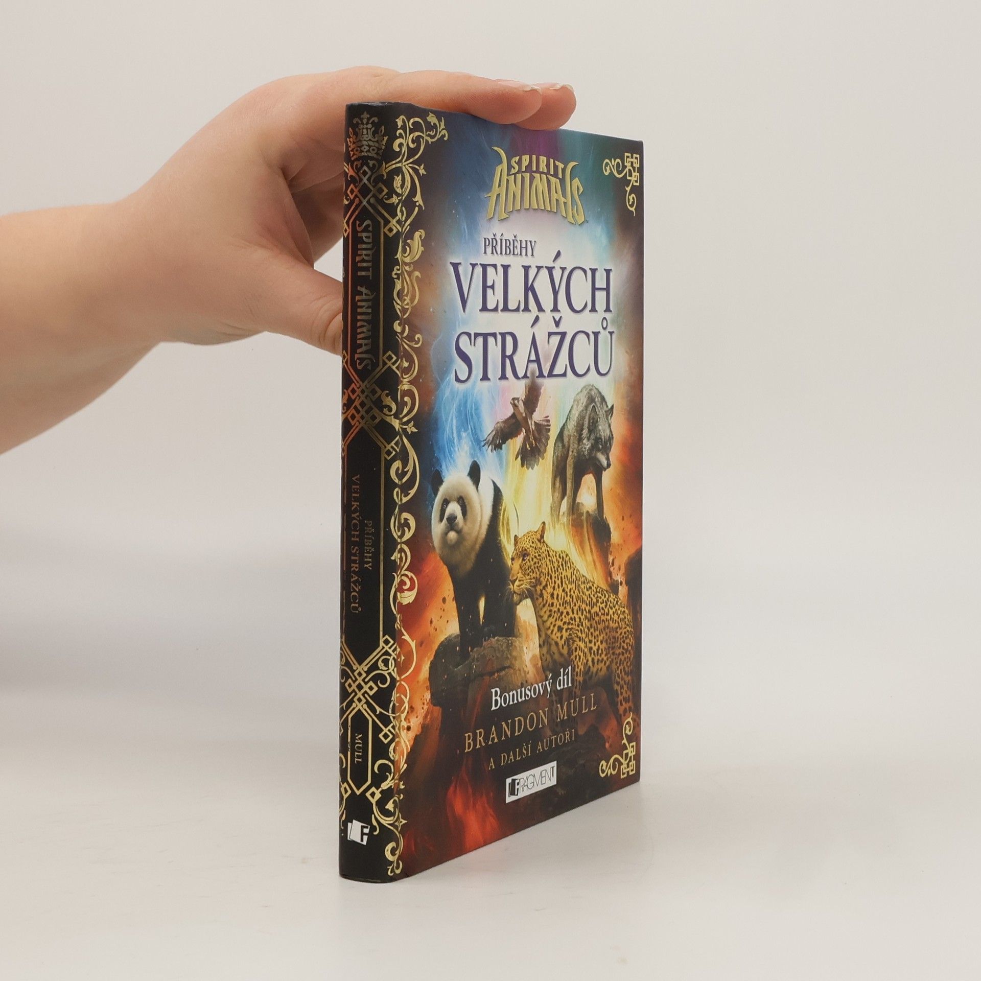 Brandon Mull Příběhy Velkých strážců