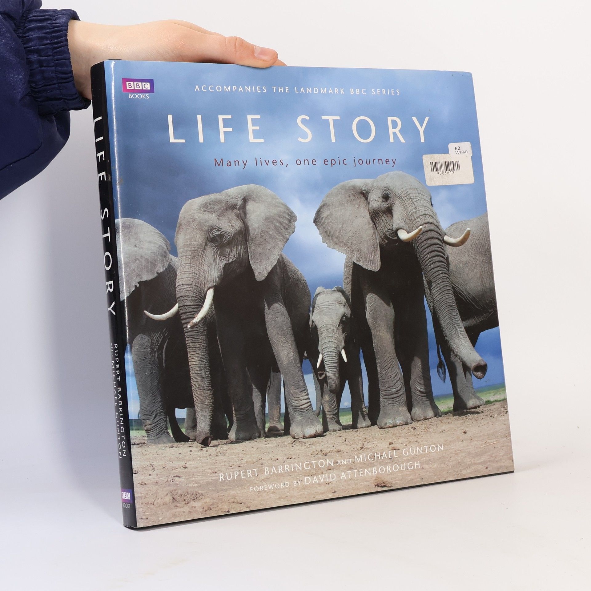 Mike Gunton Life Story