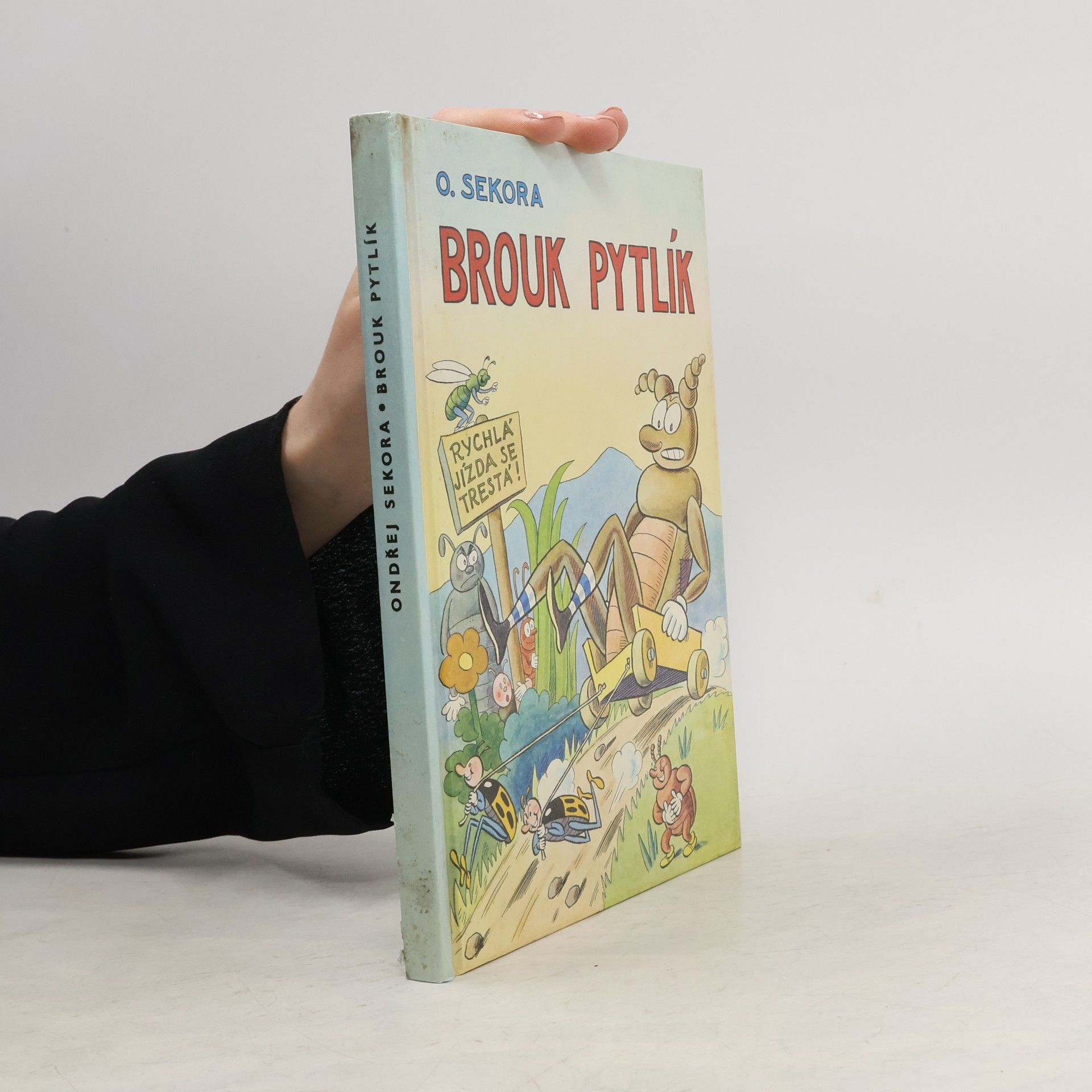 Ondřej Sekora Brouk Pytlík