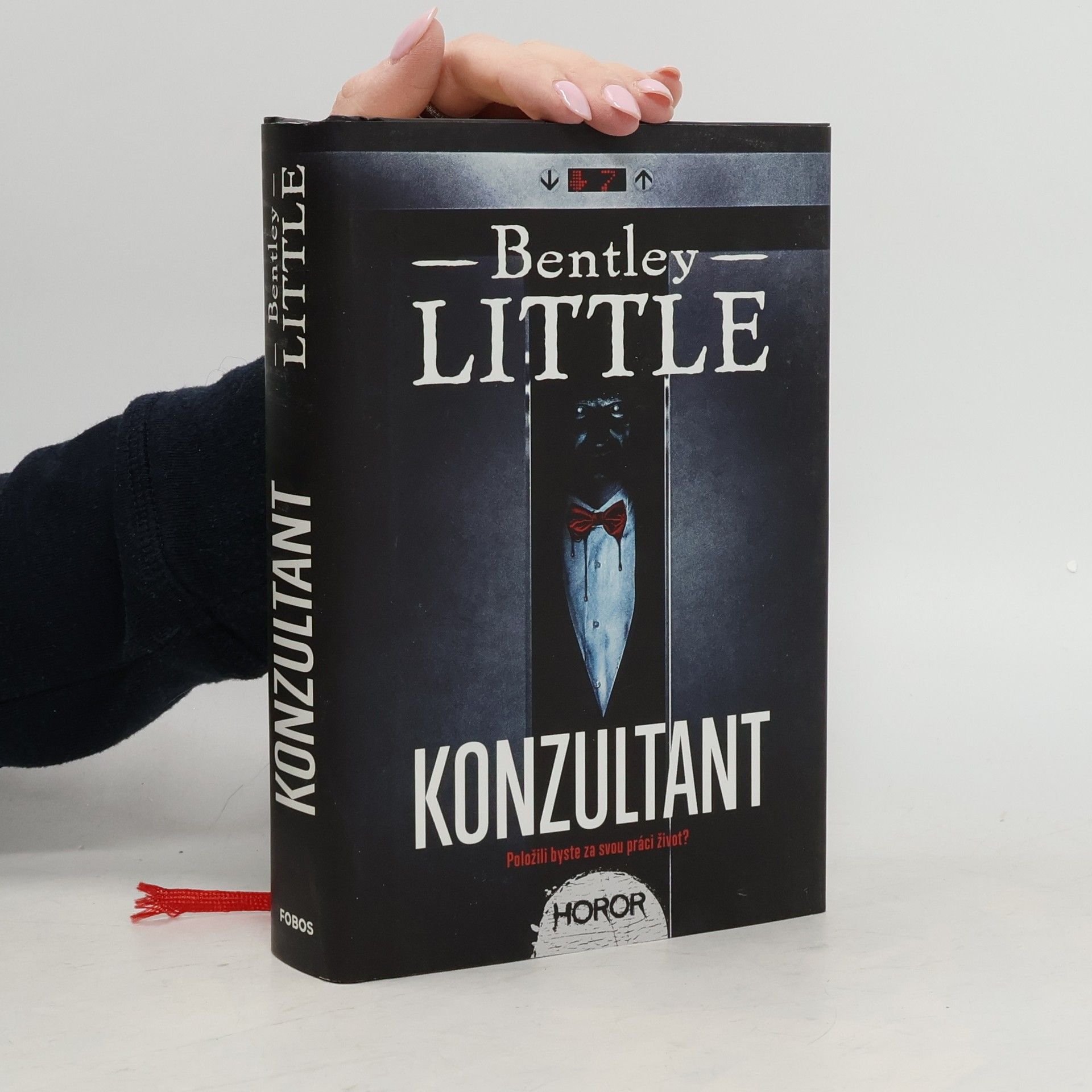Bentley Little Konzultant