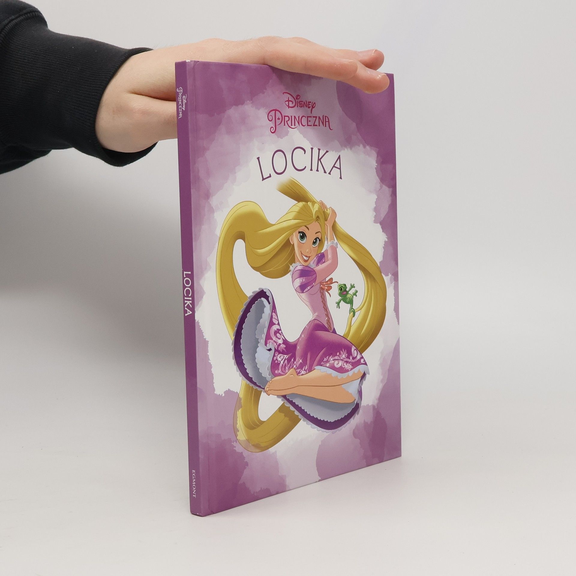 Kolektív autorov Disney Princezna. Locika