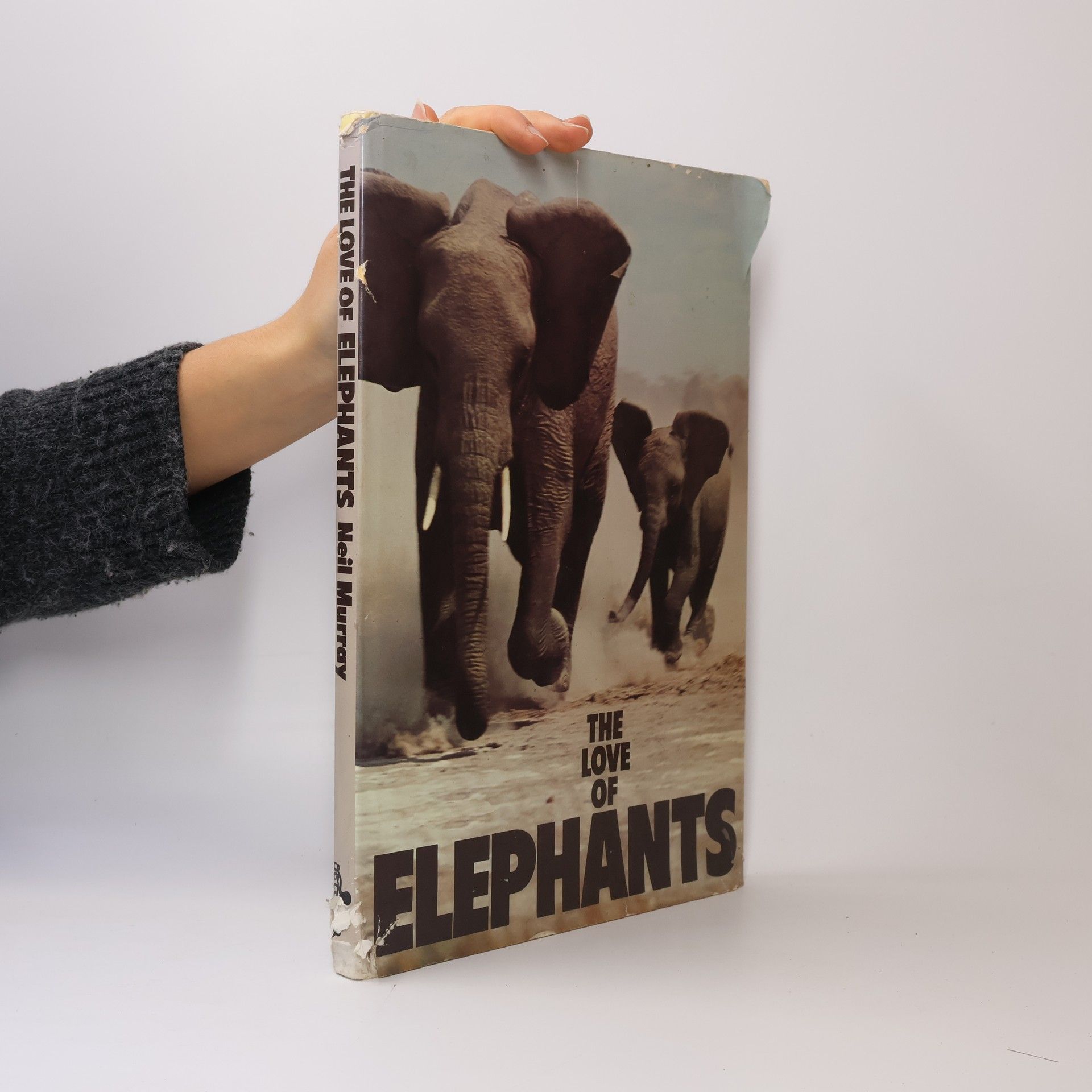 The Love of Elephants