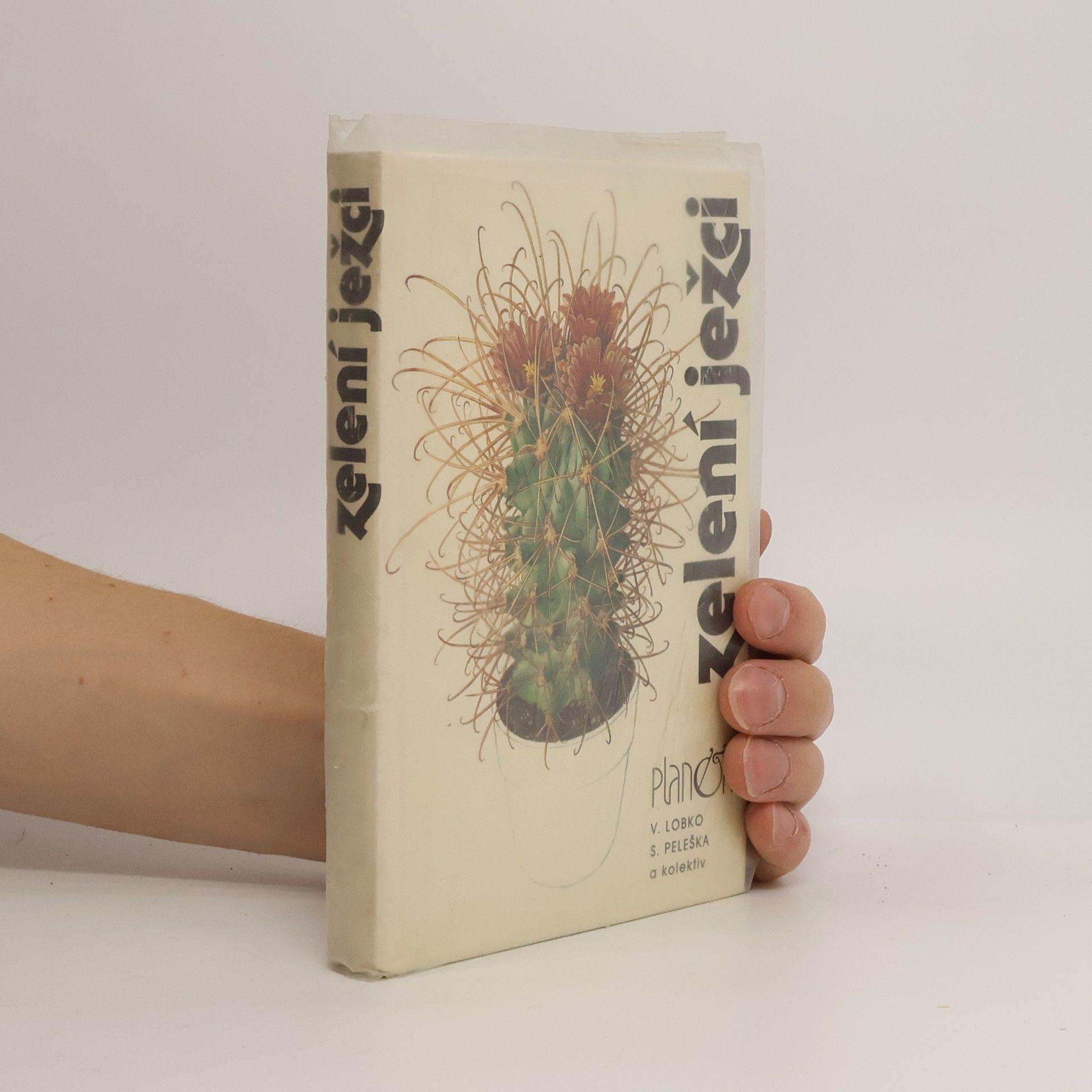 Valerij Dmitrijevič Lobko Zelení ježci