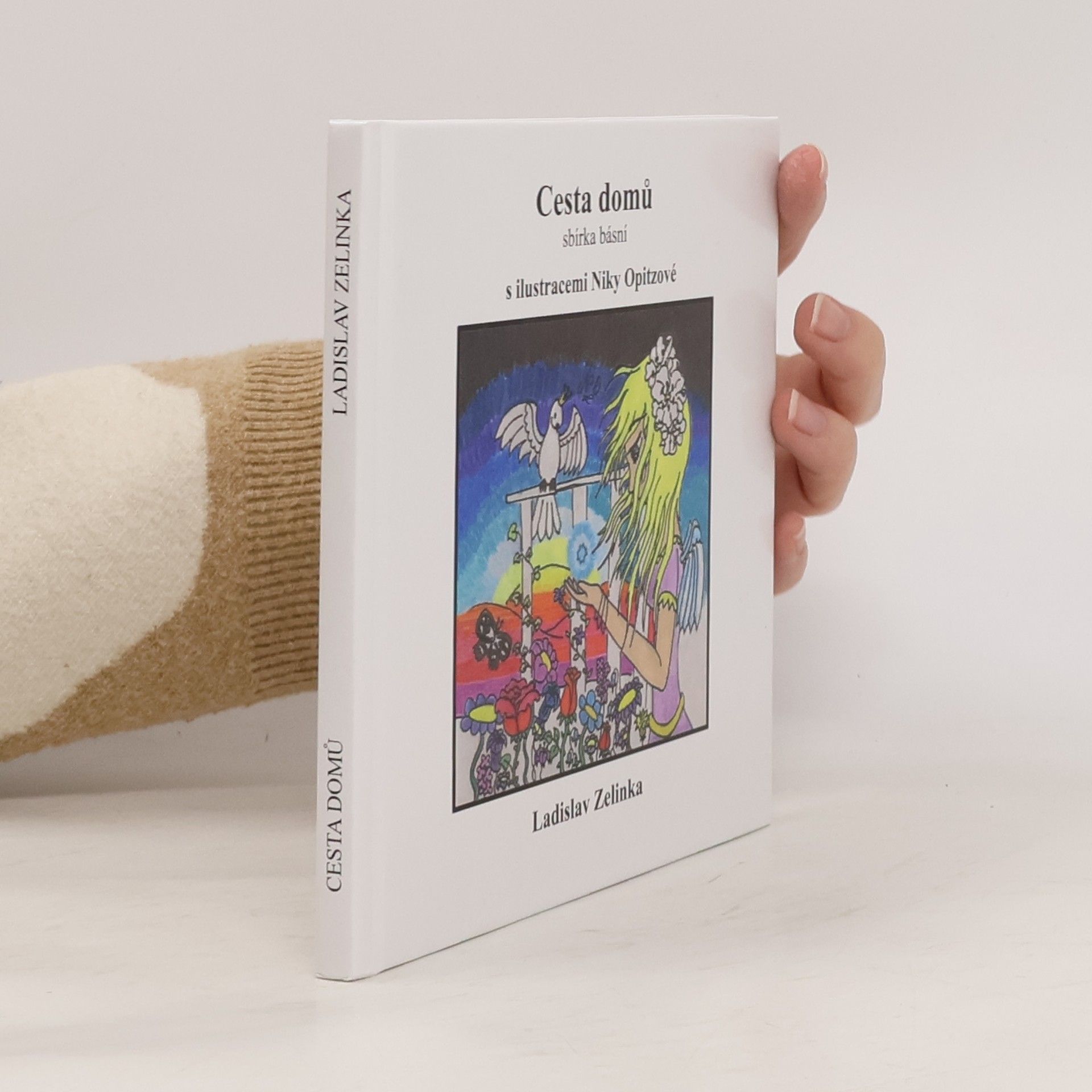 Ladislav Zelinka Cesta domů