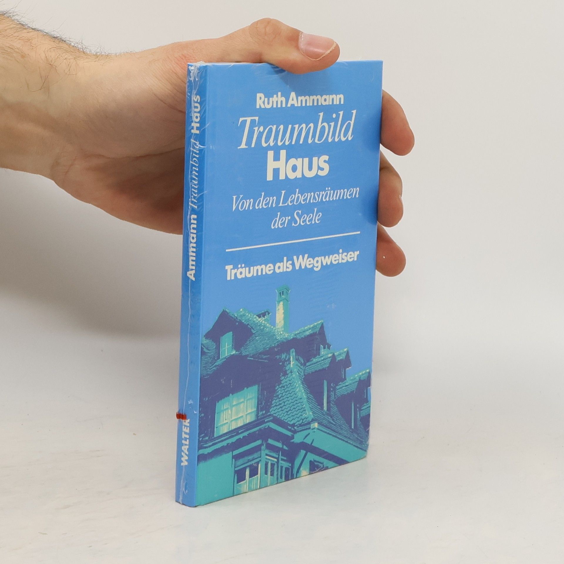 Ruth Ammann Traumbild Haus