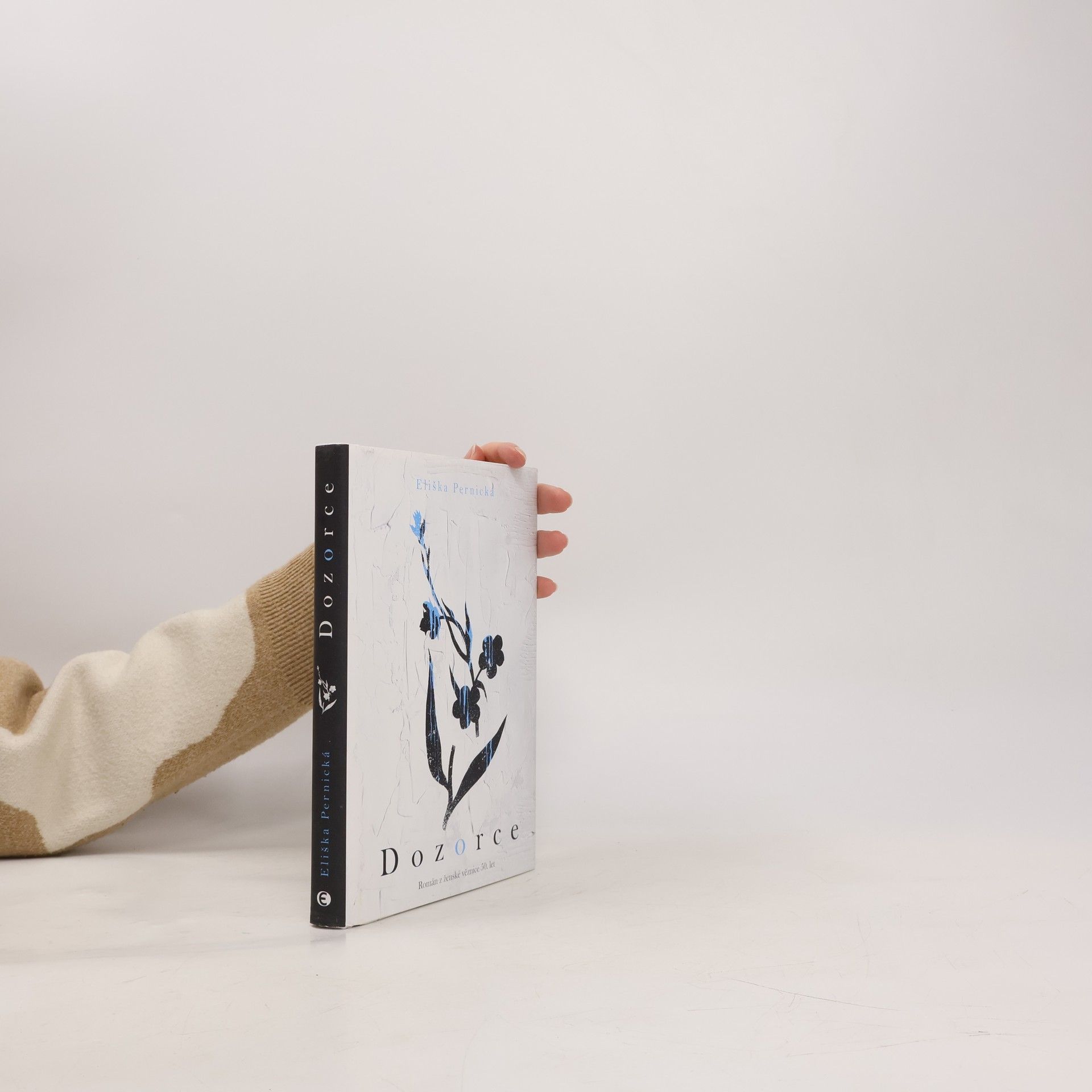 Eliška Pernická Dozorce: román z ženské věznice 50. let