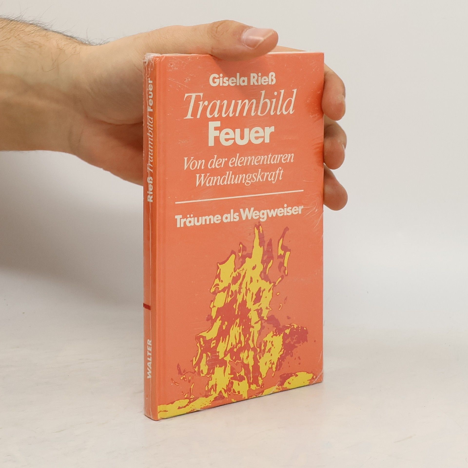 Gisela Riess Traumbild Feuer