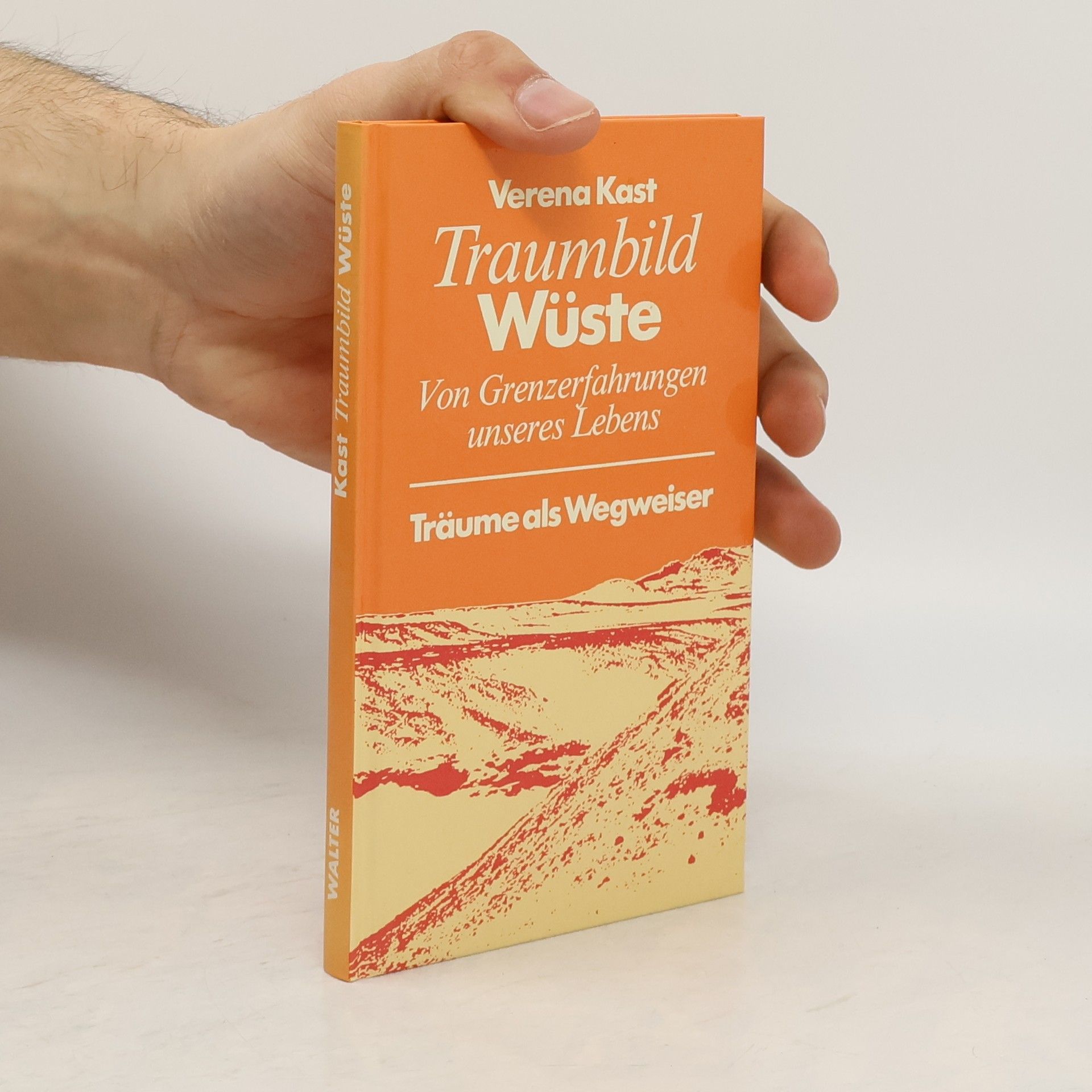 Verena Kast Träume als Wegweiser: Traumbild Wüste