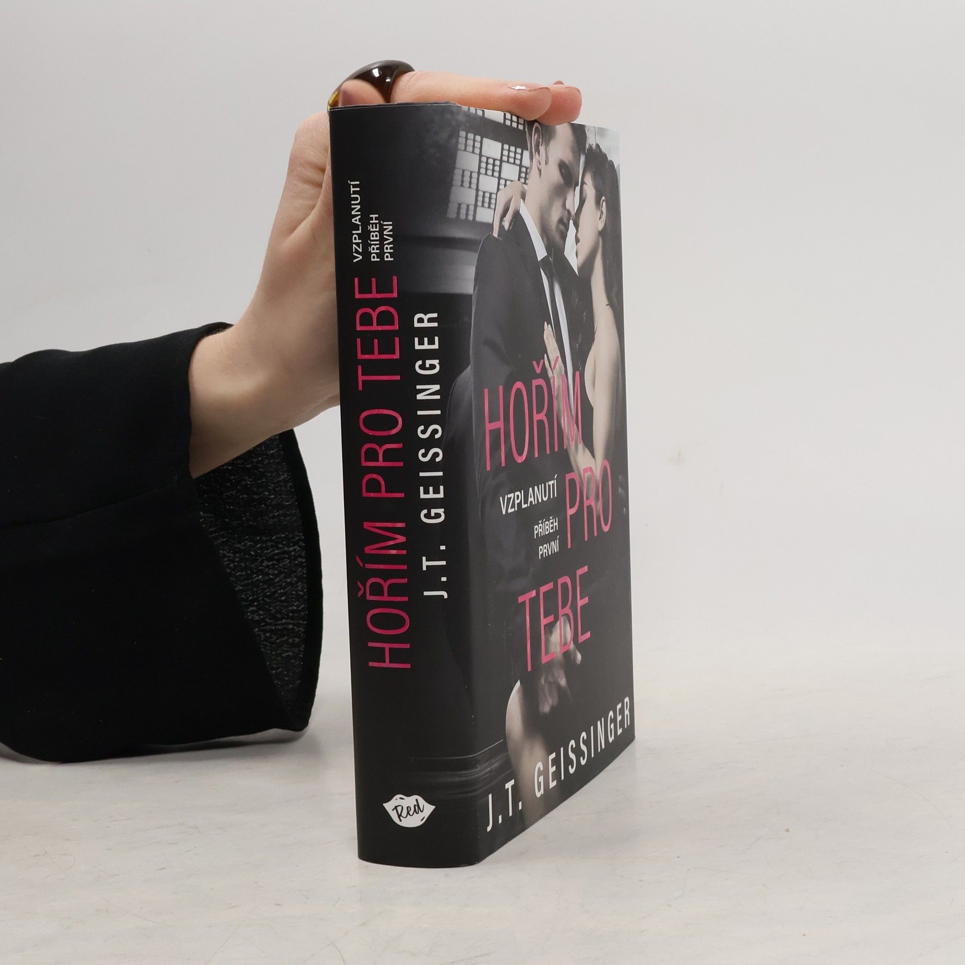 J. T. Geissinger Hořím pro tebe. Příběh první, Vzplanutí