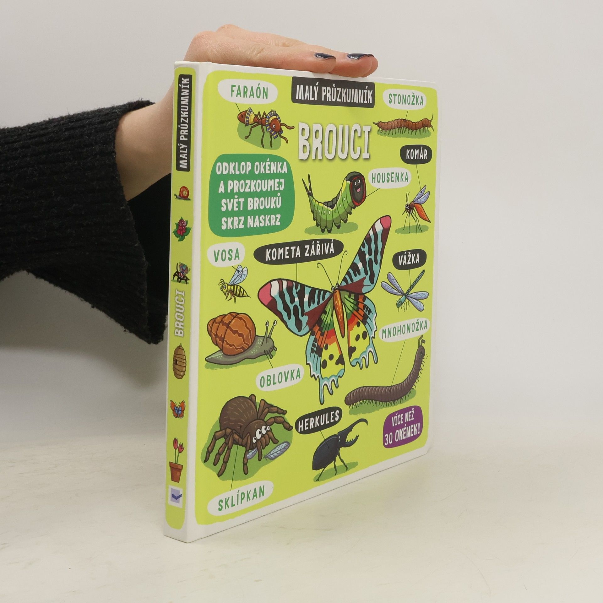 Kolektív autorov Brouci