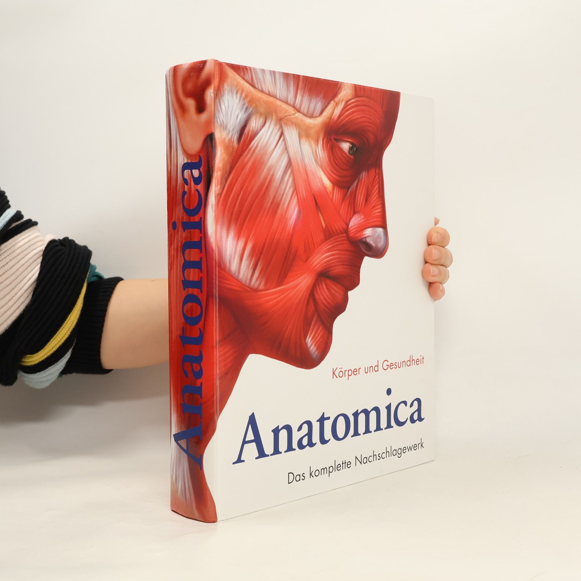 Gordon Cheers Anatomica