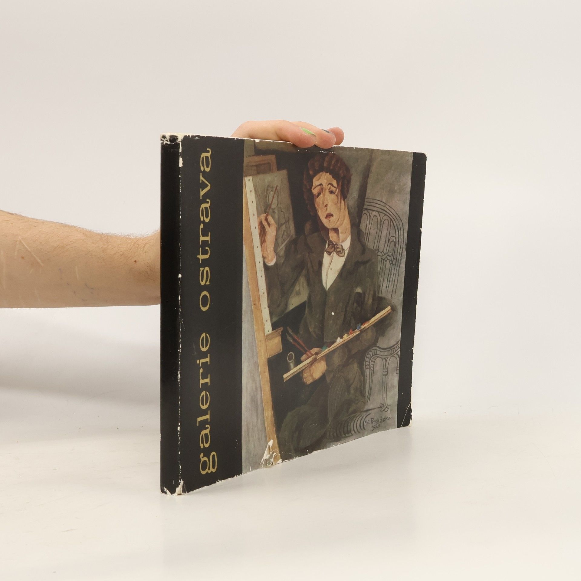 Autores varios České malířství XX. století