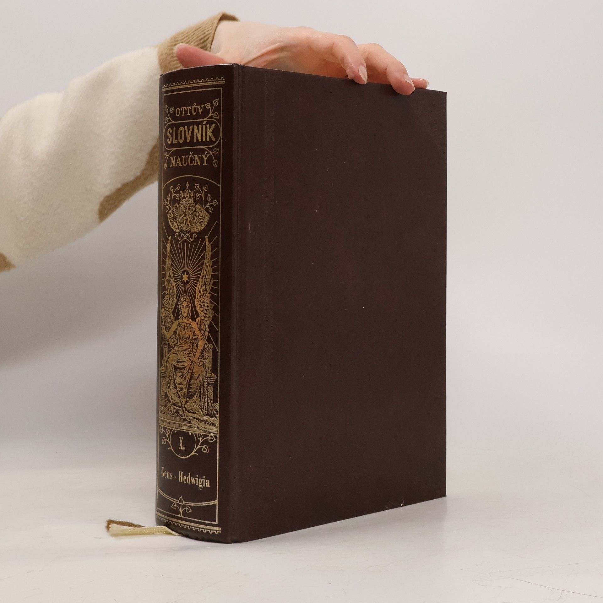 Auteurscollectief Ottův slovník naučný X.