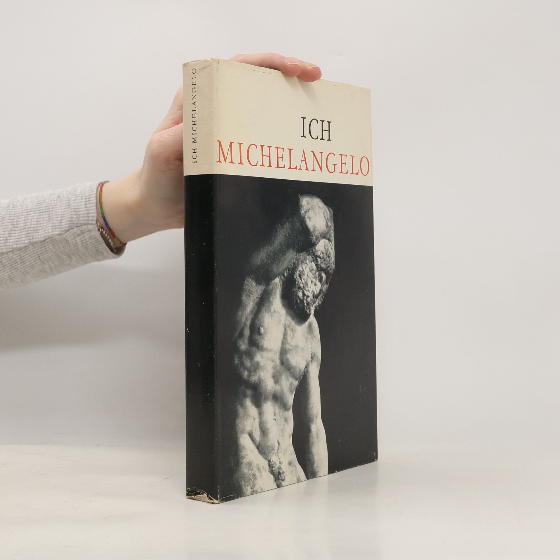 Autorenkollektiv Ich Michelangelo