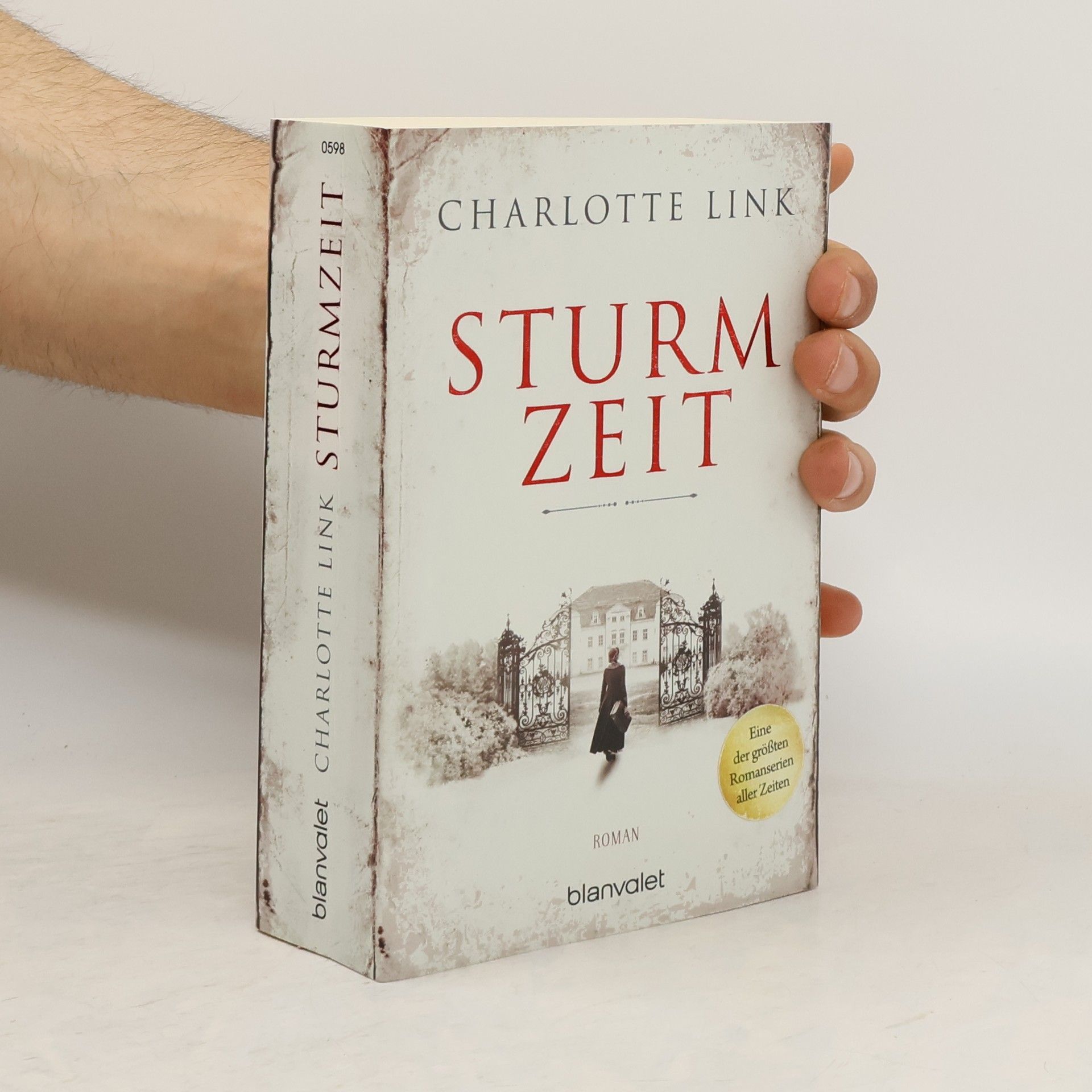 Charlotte Link Sturmzeit