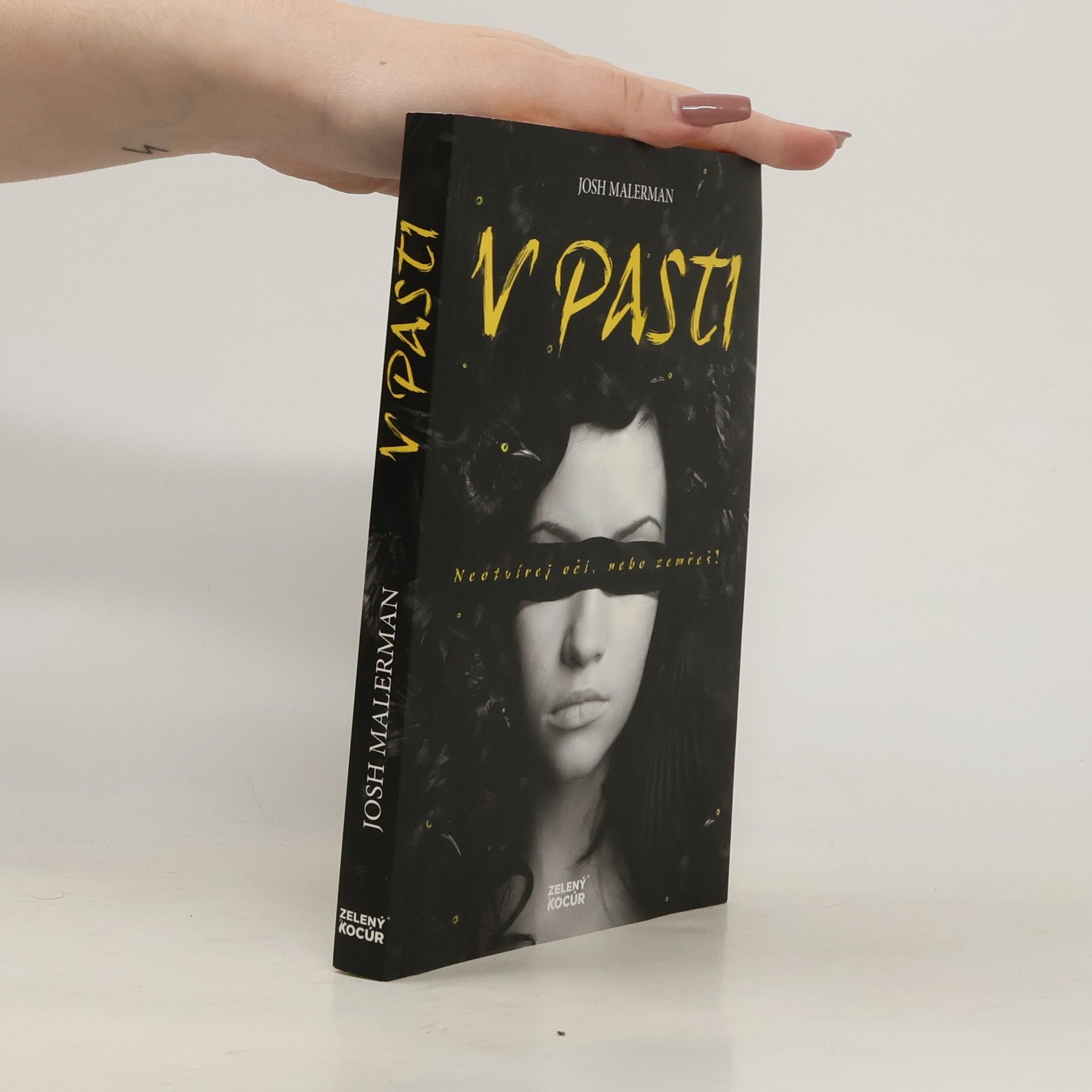 Josh Malerman V pasti