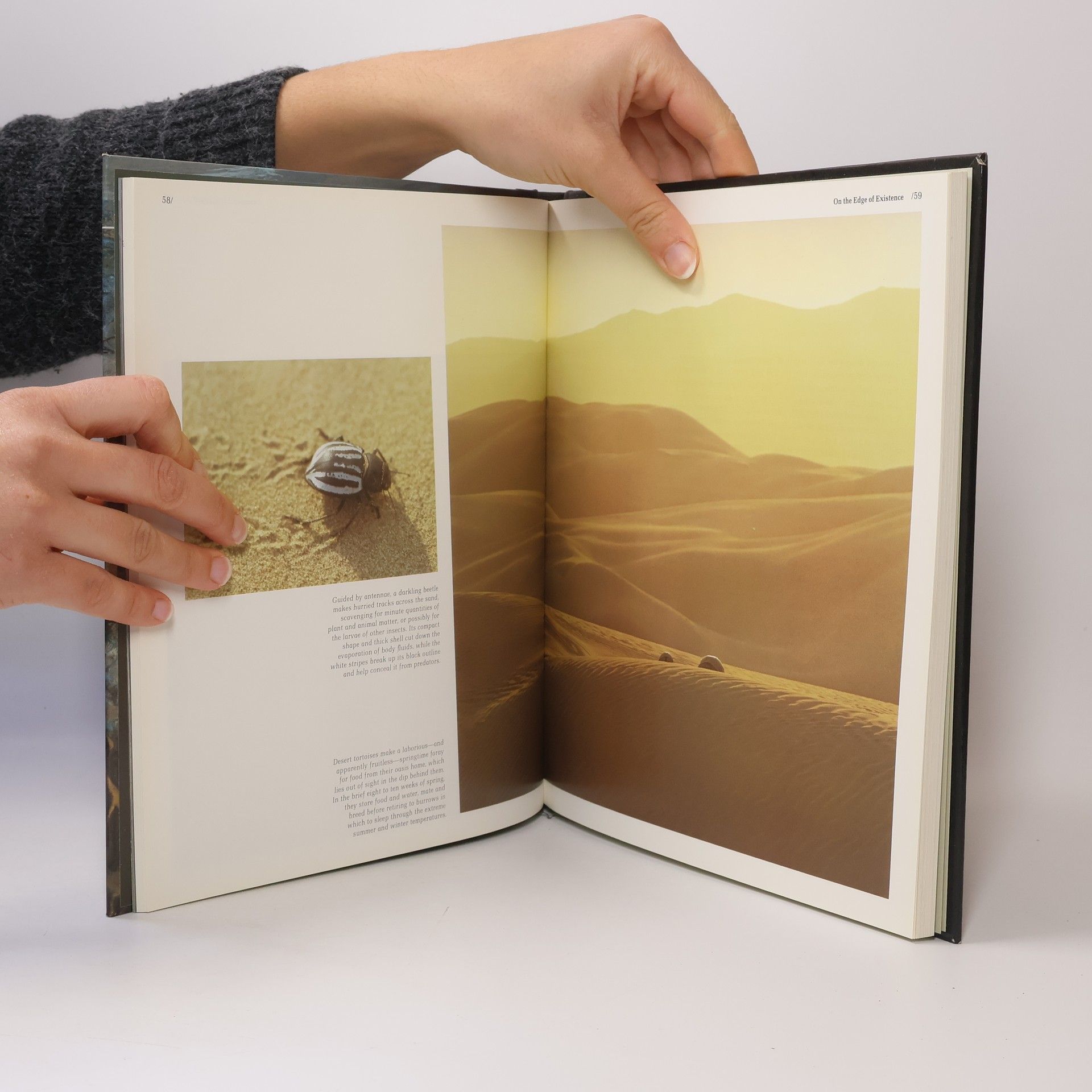 Collectif d'auteurs Soviet Deserts and Mountains