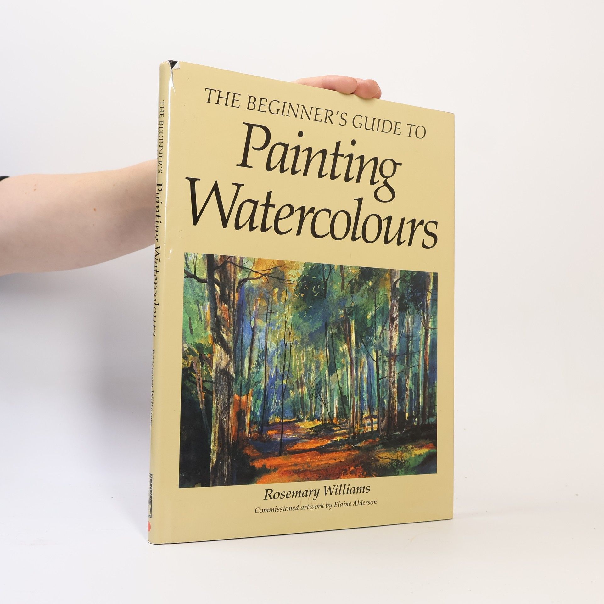 Rosemary Williams New Practical Art: Beginners Guide to Painting Watercolours
