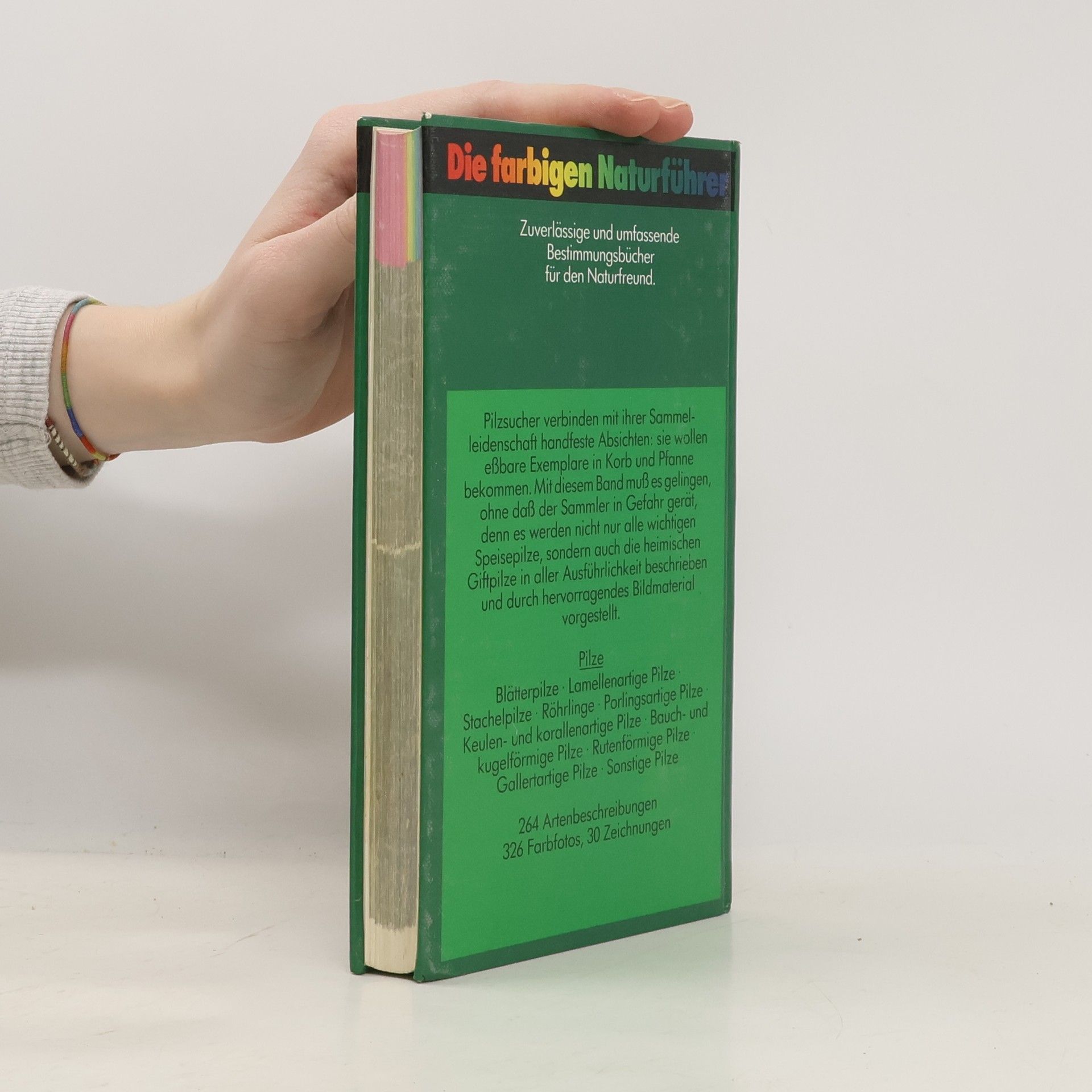 Autores varios Pilze