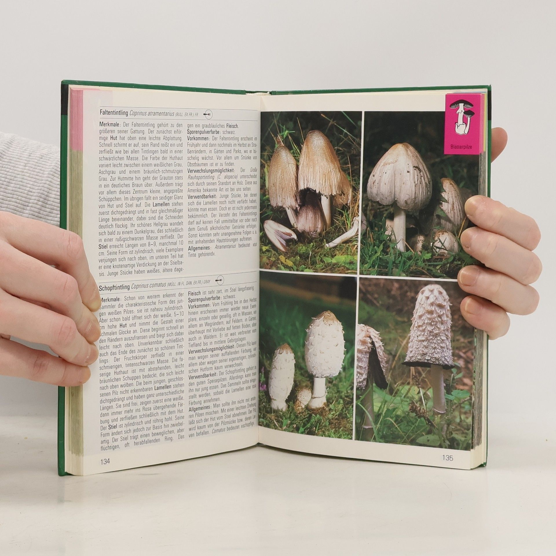 Autores varios Pilze