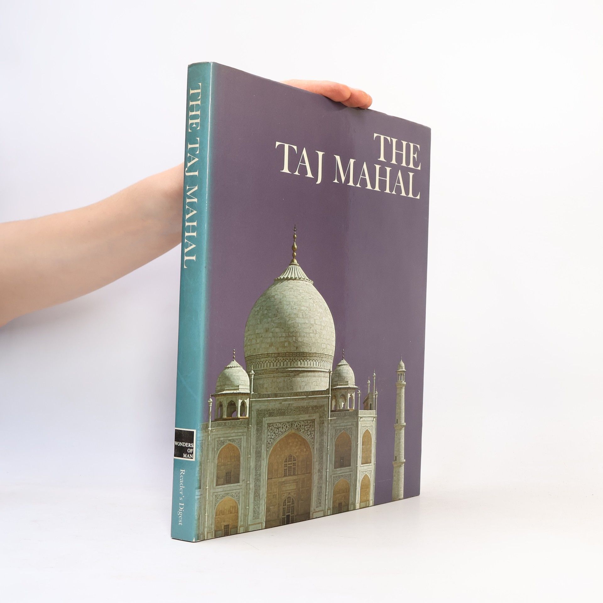 David Carroll The Taj Mahal