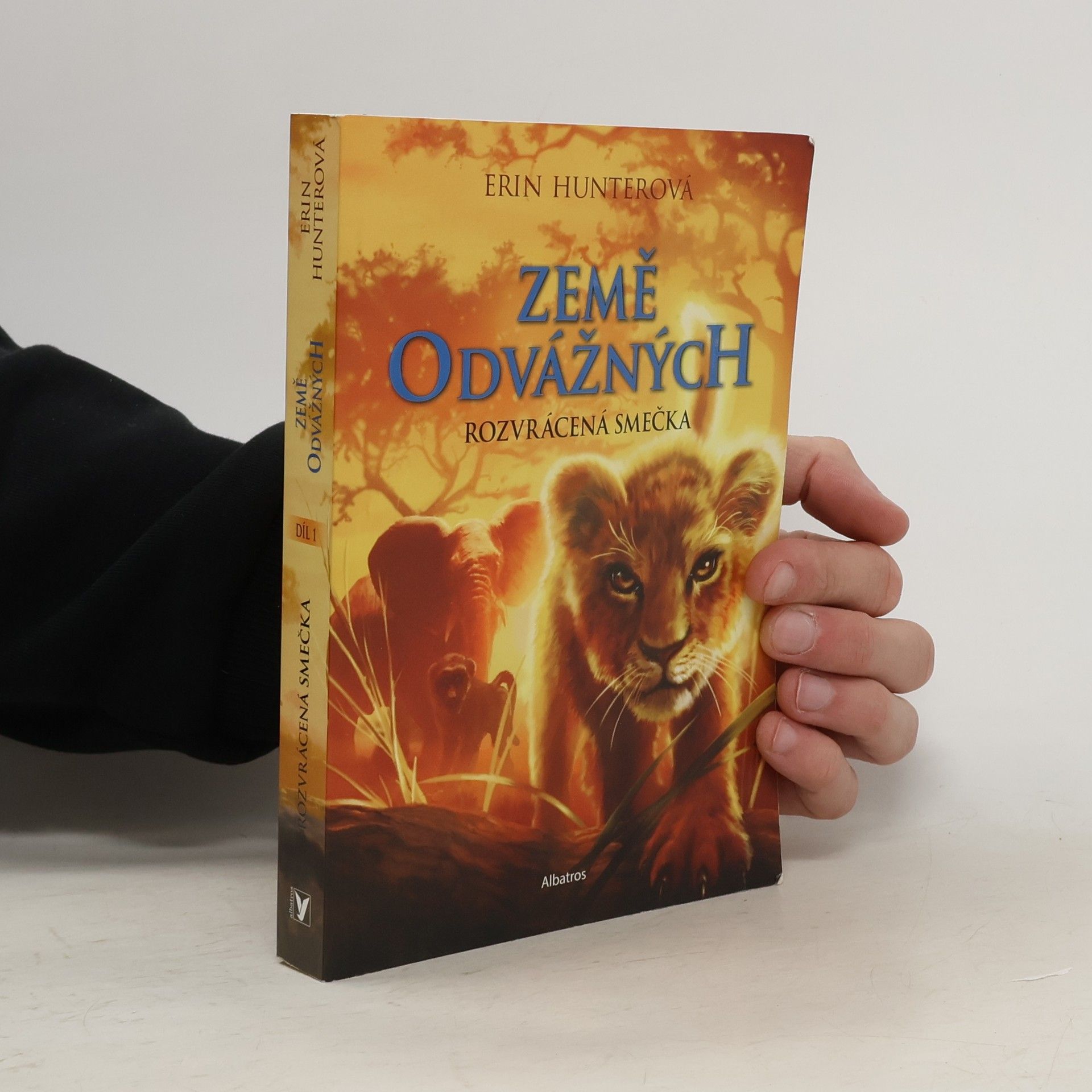 Erin Hunter Rozvrácená smečka