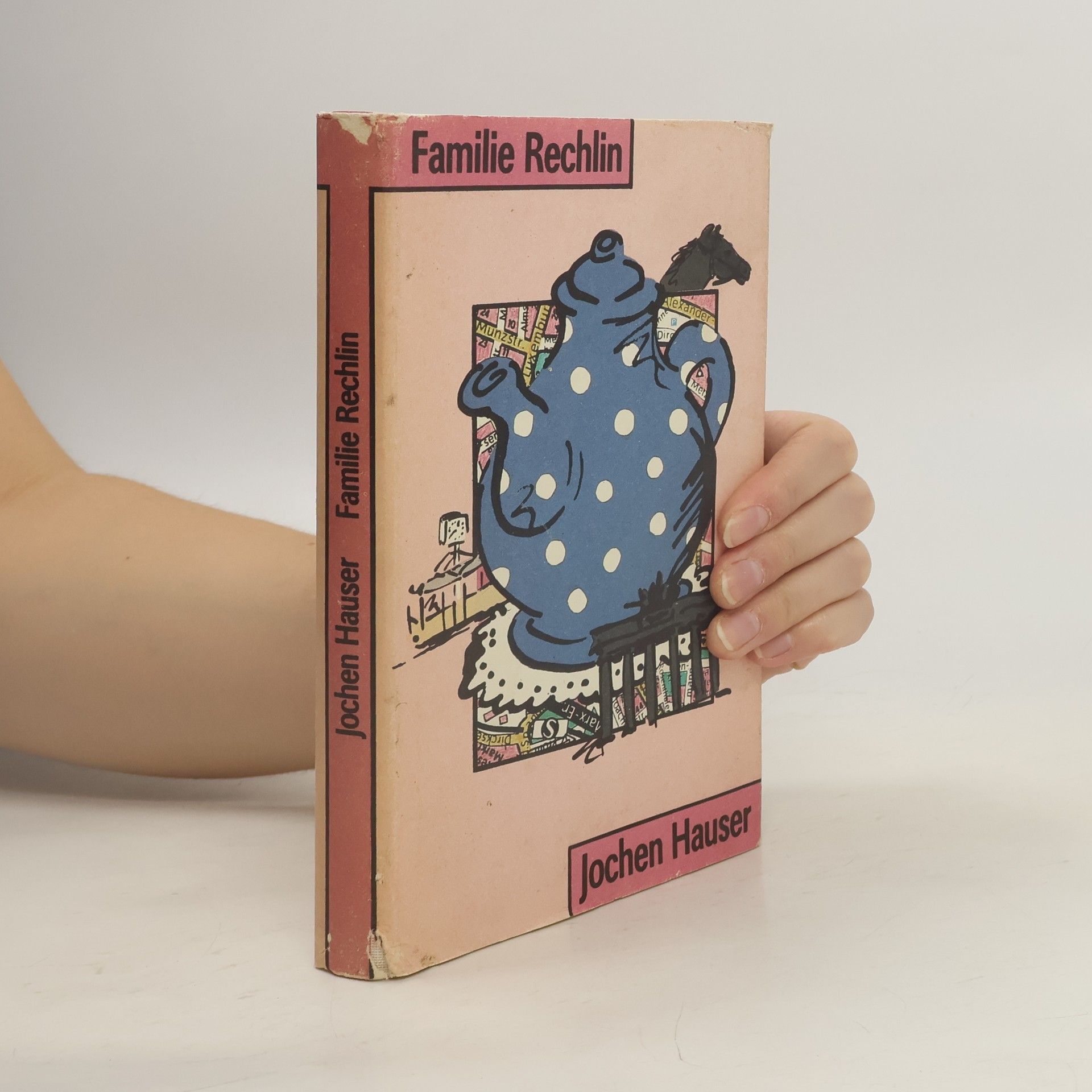 Familie Rechlin. Ein Roman aus Berlin