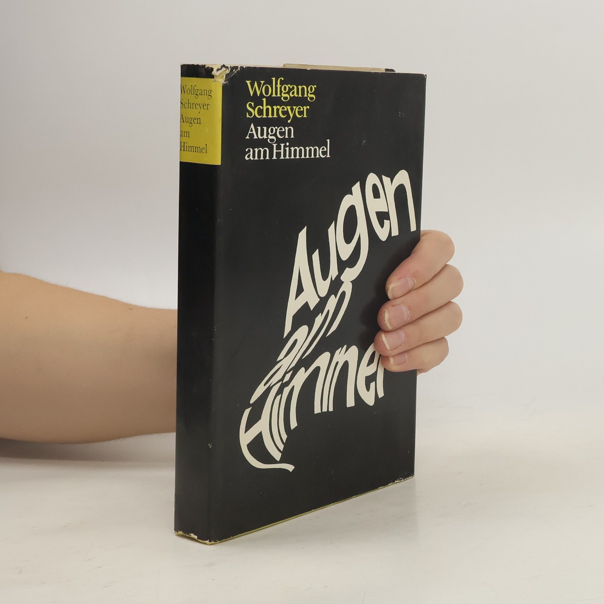 Wolfgang Schreyer Augen am Himmel