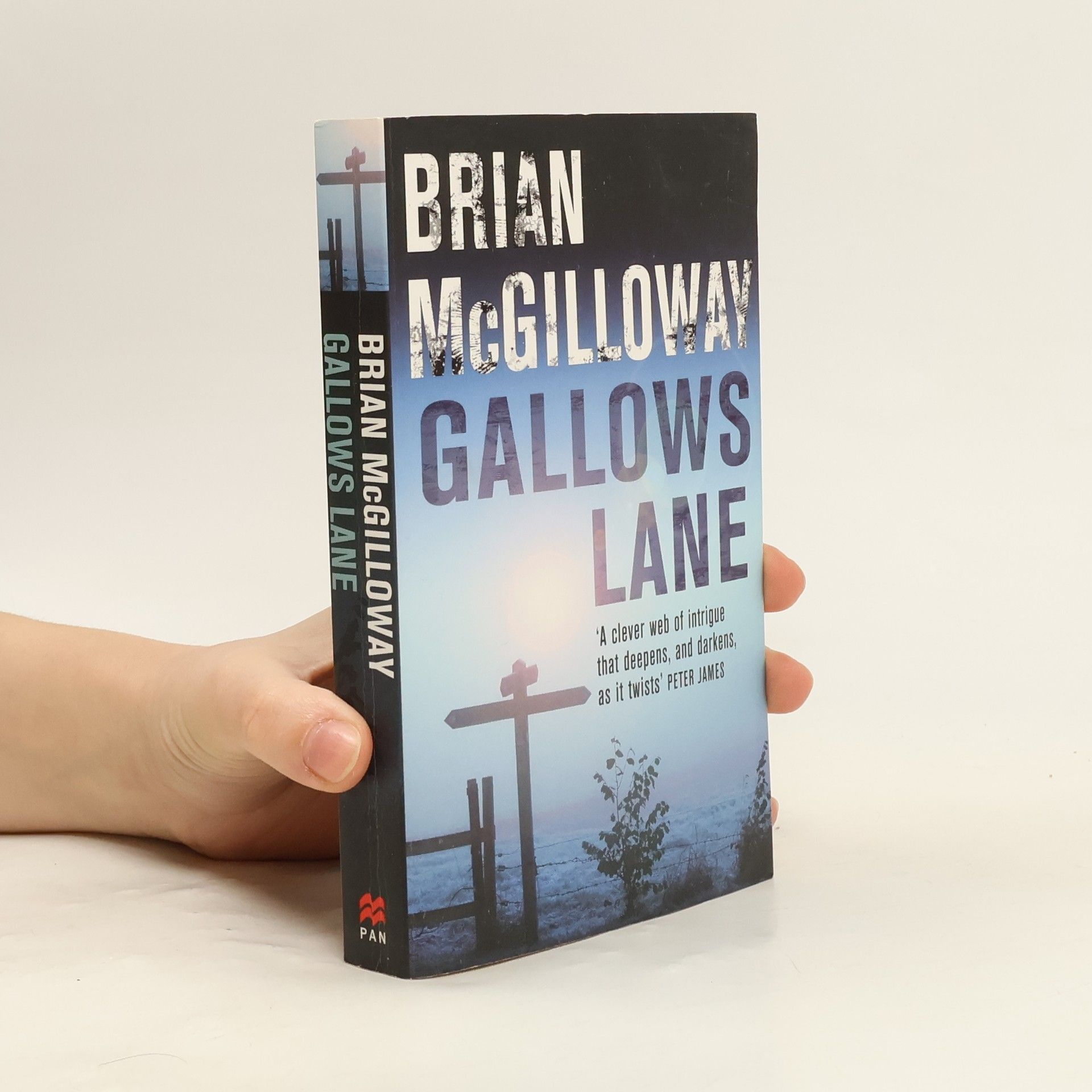 Brian McGilloway Gallows Lane