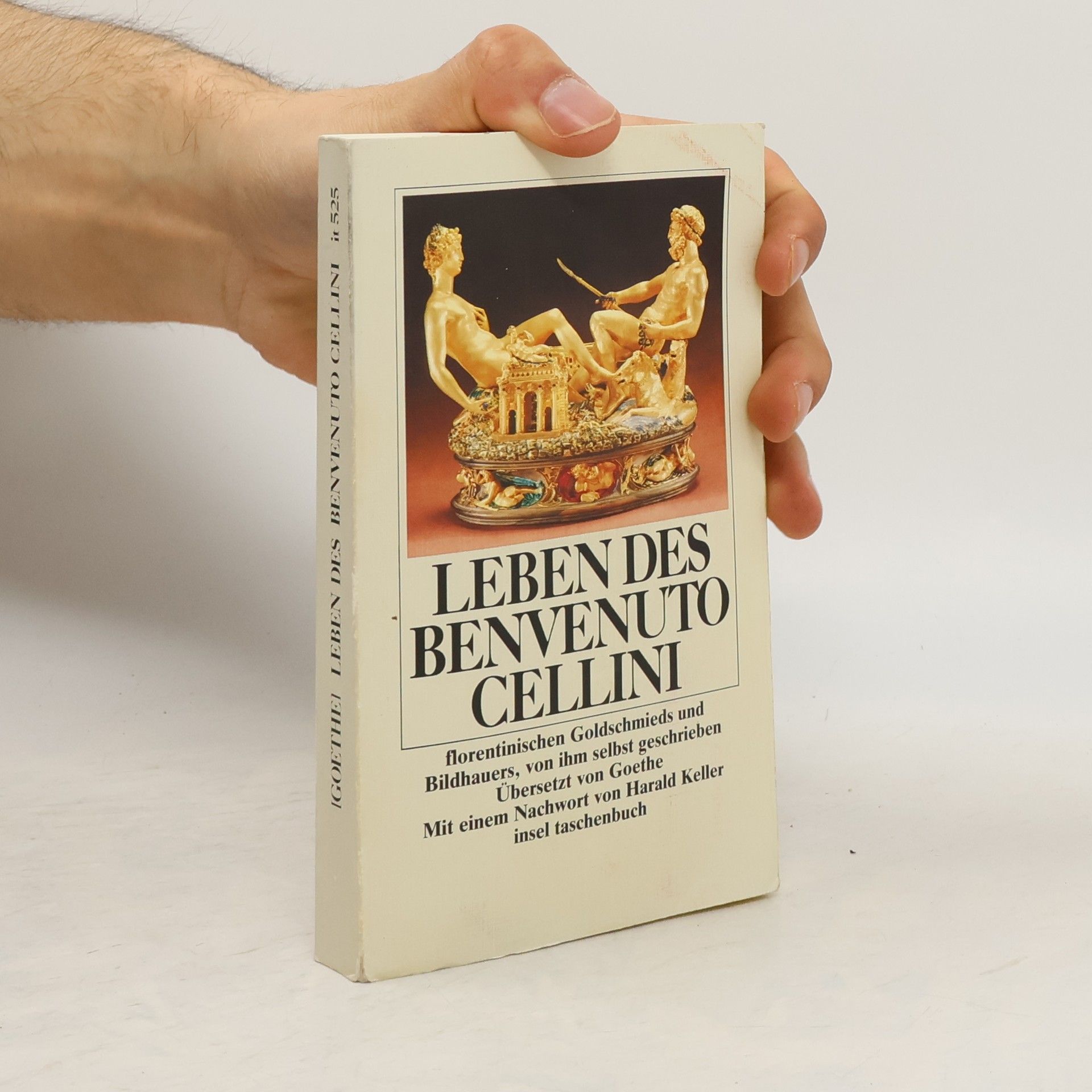 Benvenuto Cellini Leben des Benvenuto Cellini, florentinischen Goldschmieds und Bildhauers