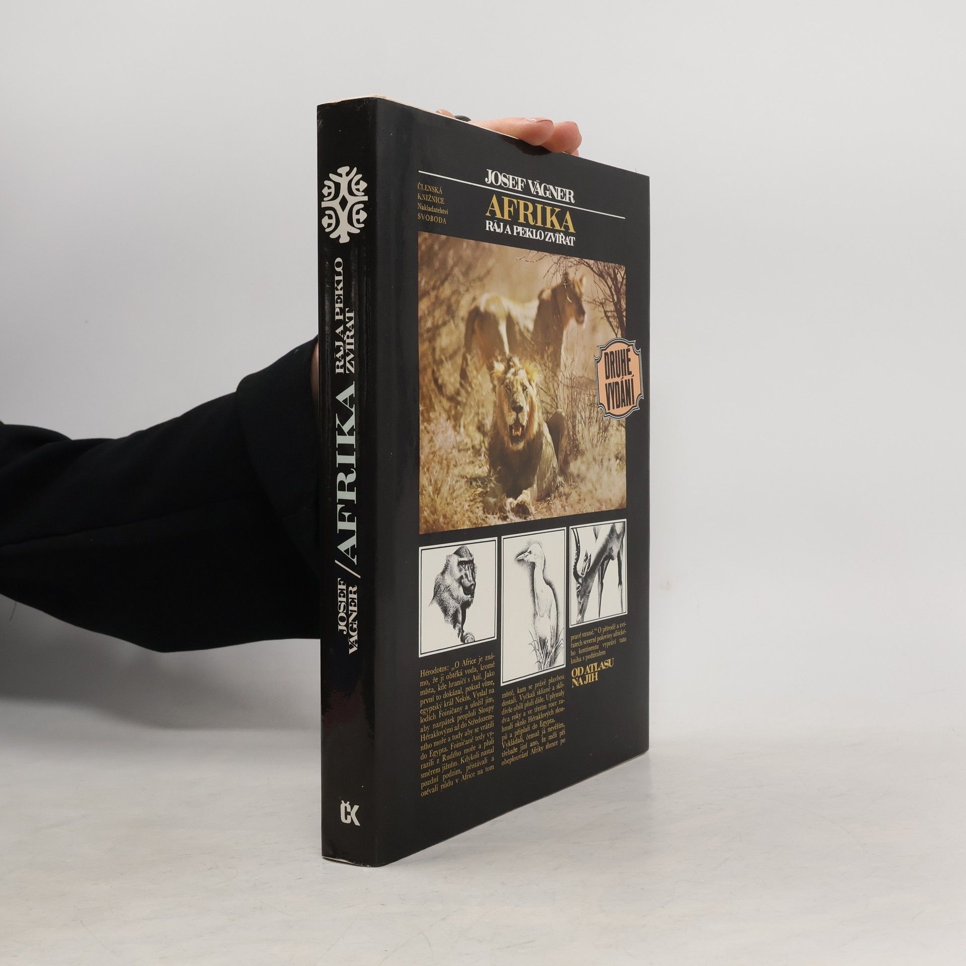 Afrika. Ráj a peklo zvířat