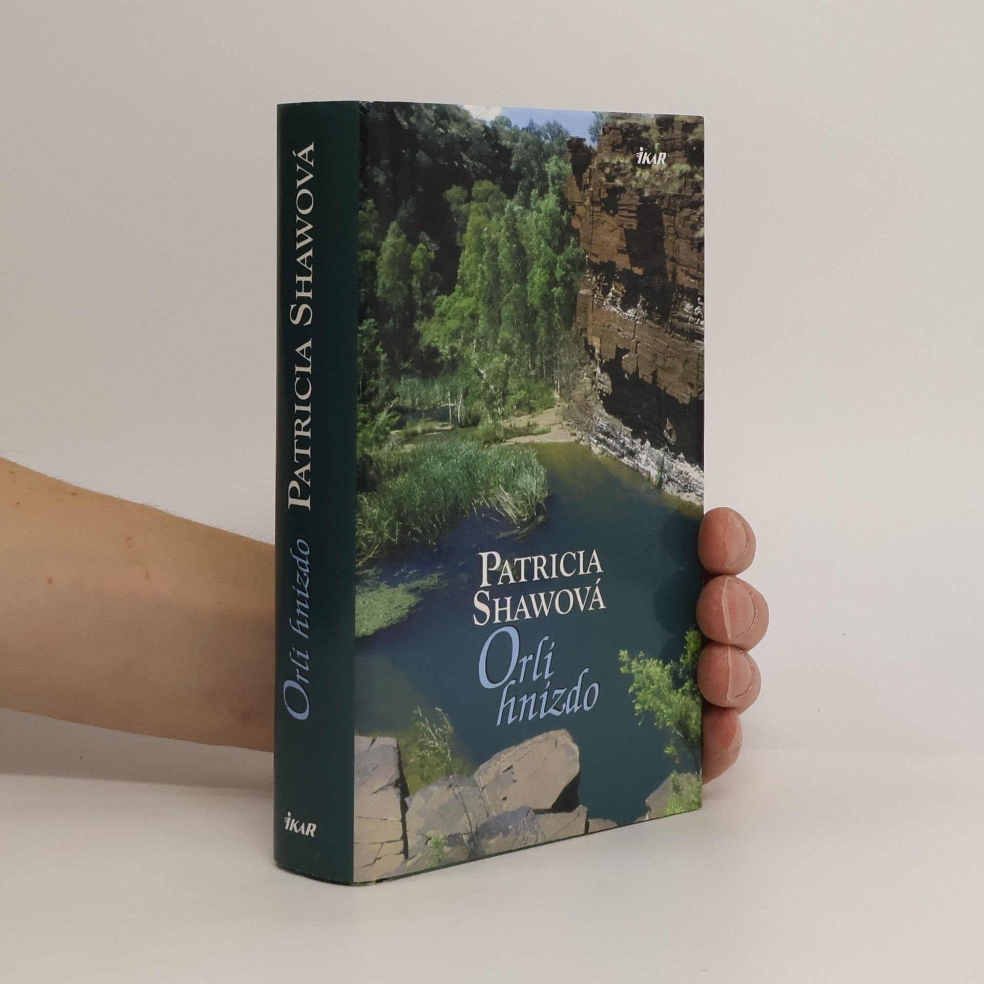Patricia Shaw Orlí hnízdo