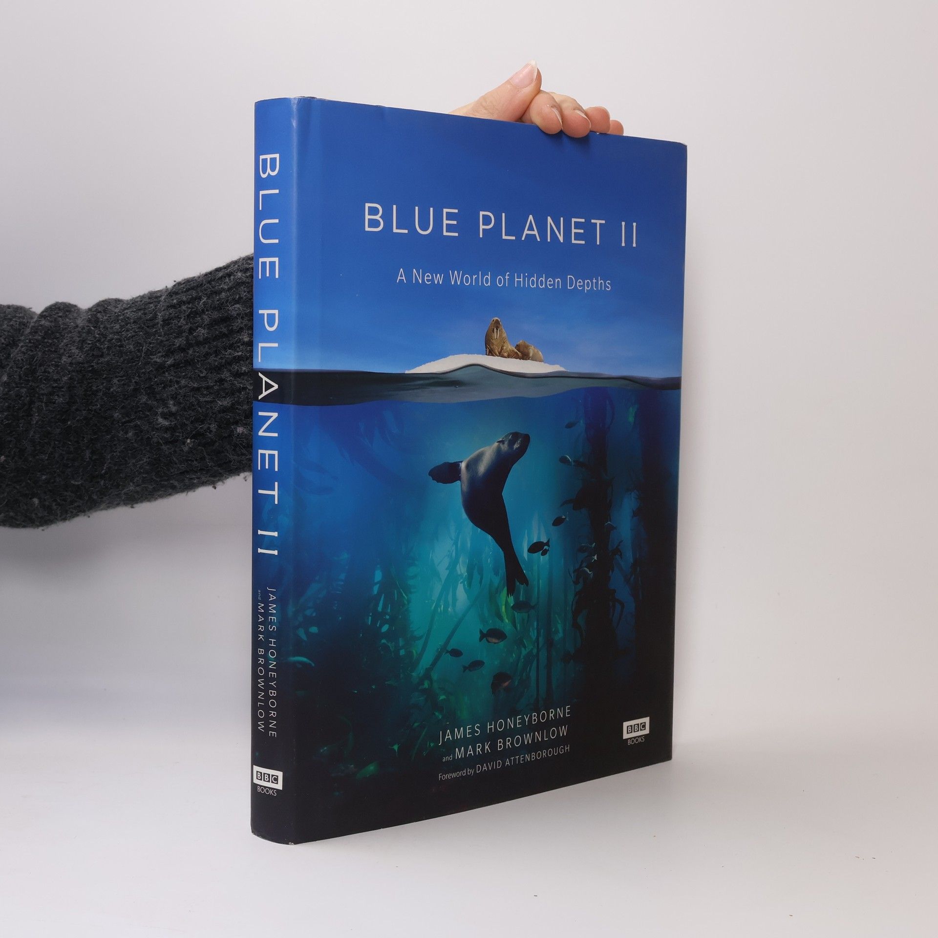 Mark Brownlow Blue Planet II