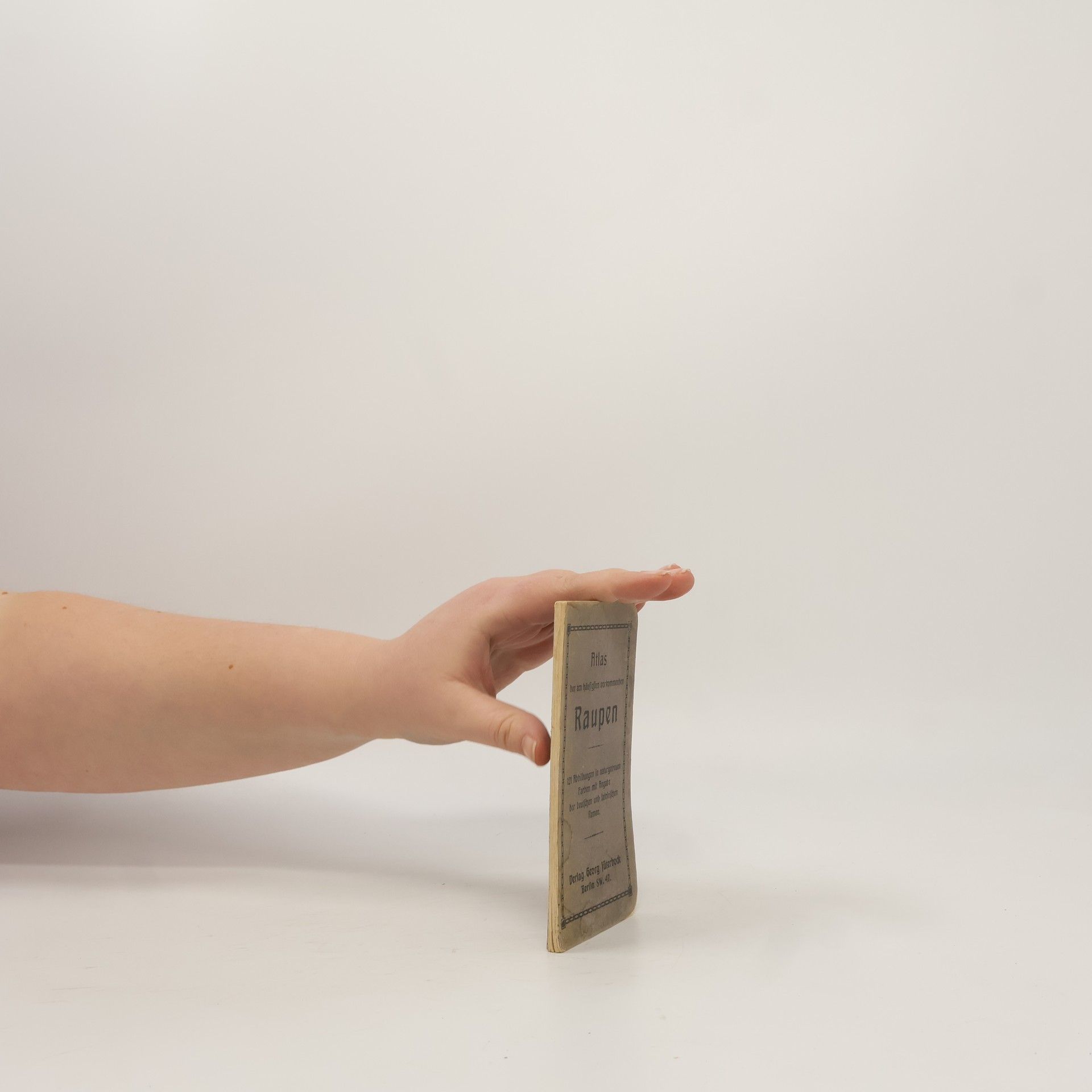 Kolektiv autorů Atlas der am häufigsten vorkommenden Raupen