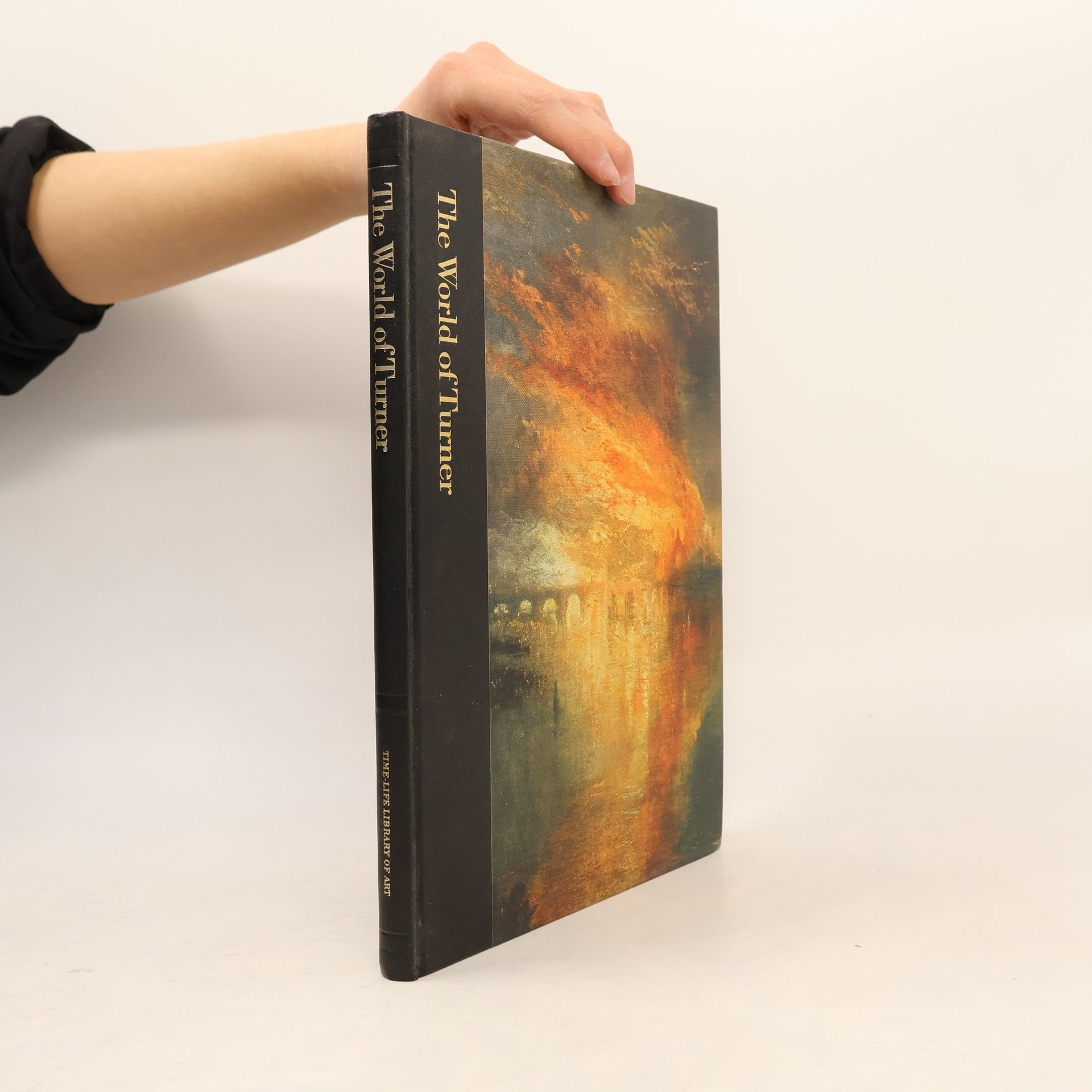 Diana Hirsch The World of Turner