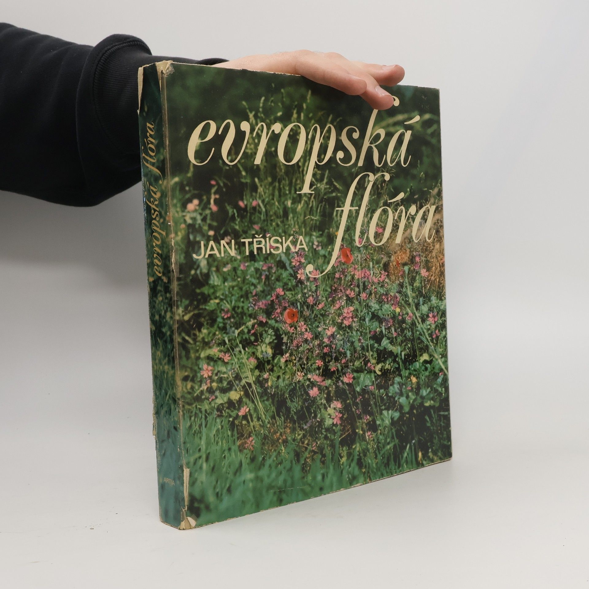 Jan Tříska Evropská flóra