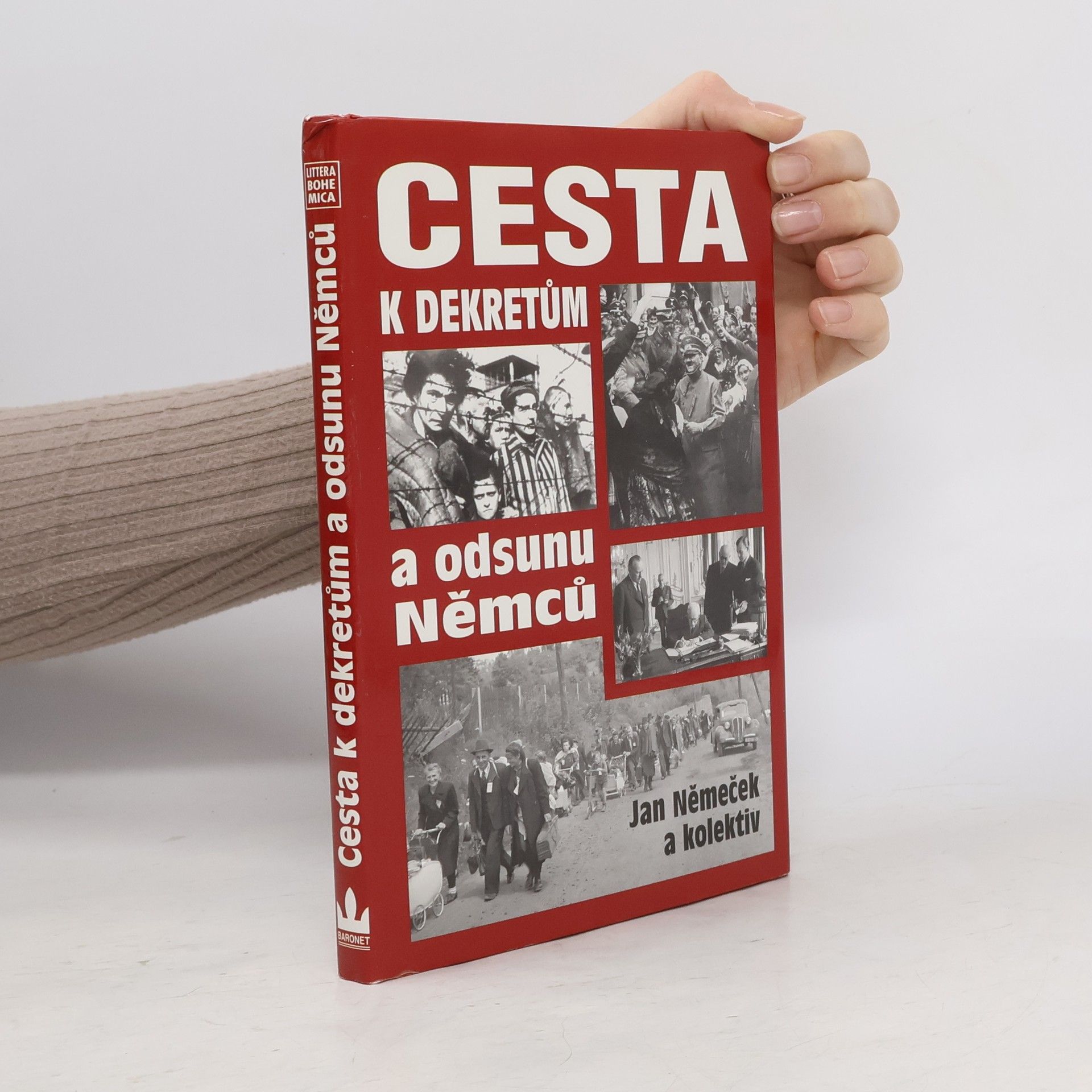 Autorenkollektiv Cesta k dekretům a odsunu Němců